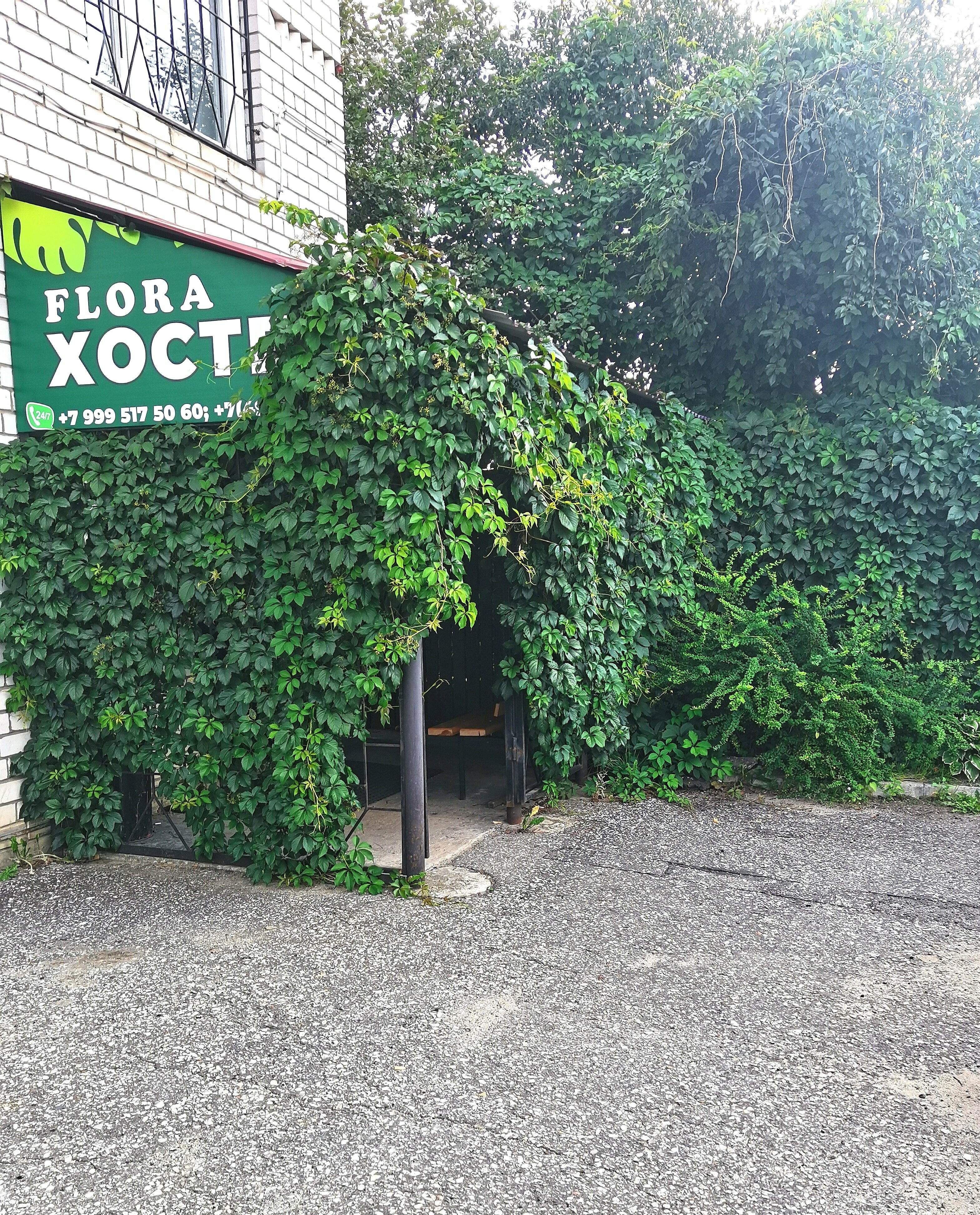 Общий номер для мужчин и женщин с 8 кроватями