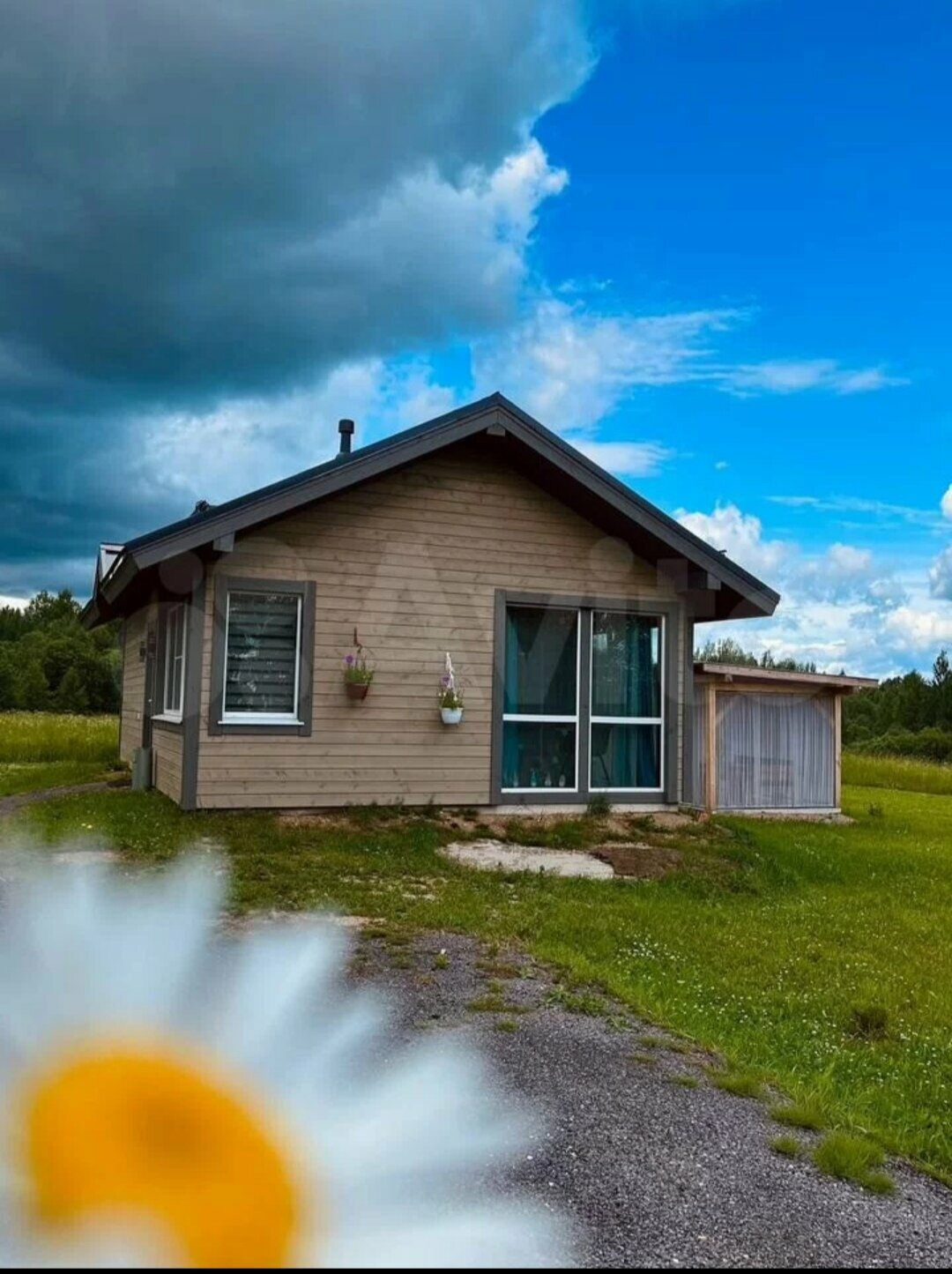 Дом с видом на лес