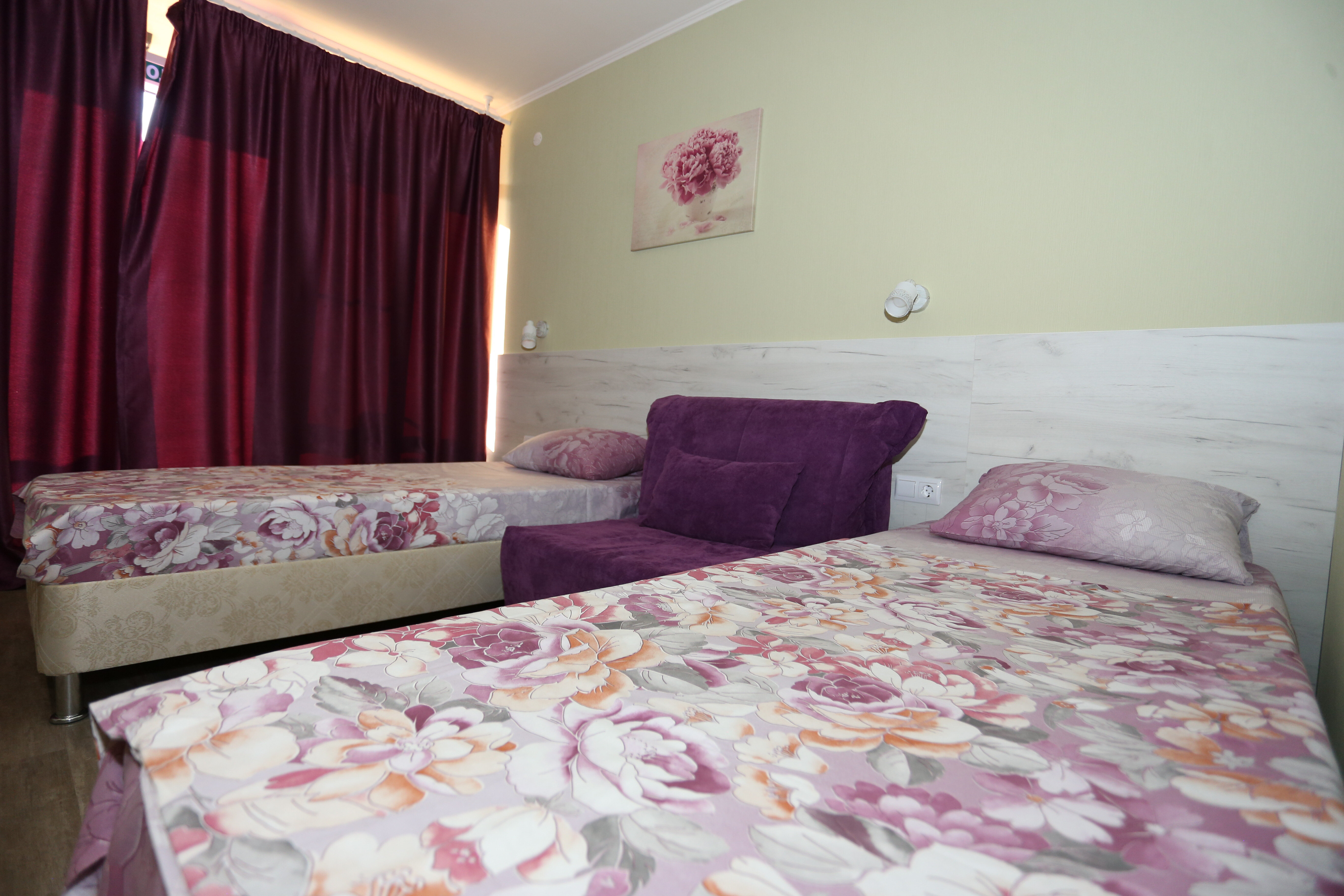 Двухместный номер с 1 кроватью или 2 отдельными кроватями