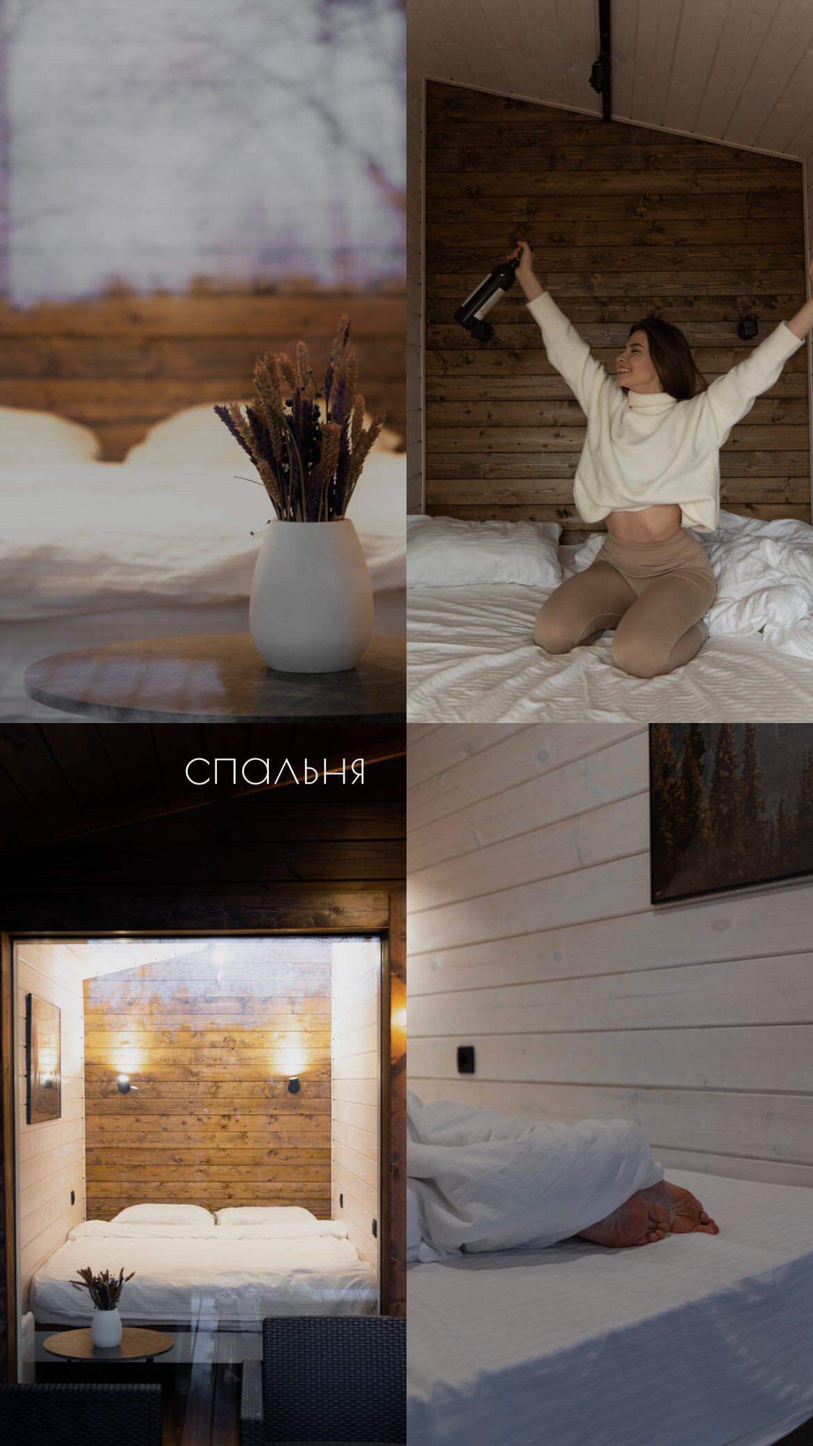 Дом с видом на лес