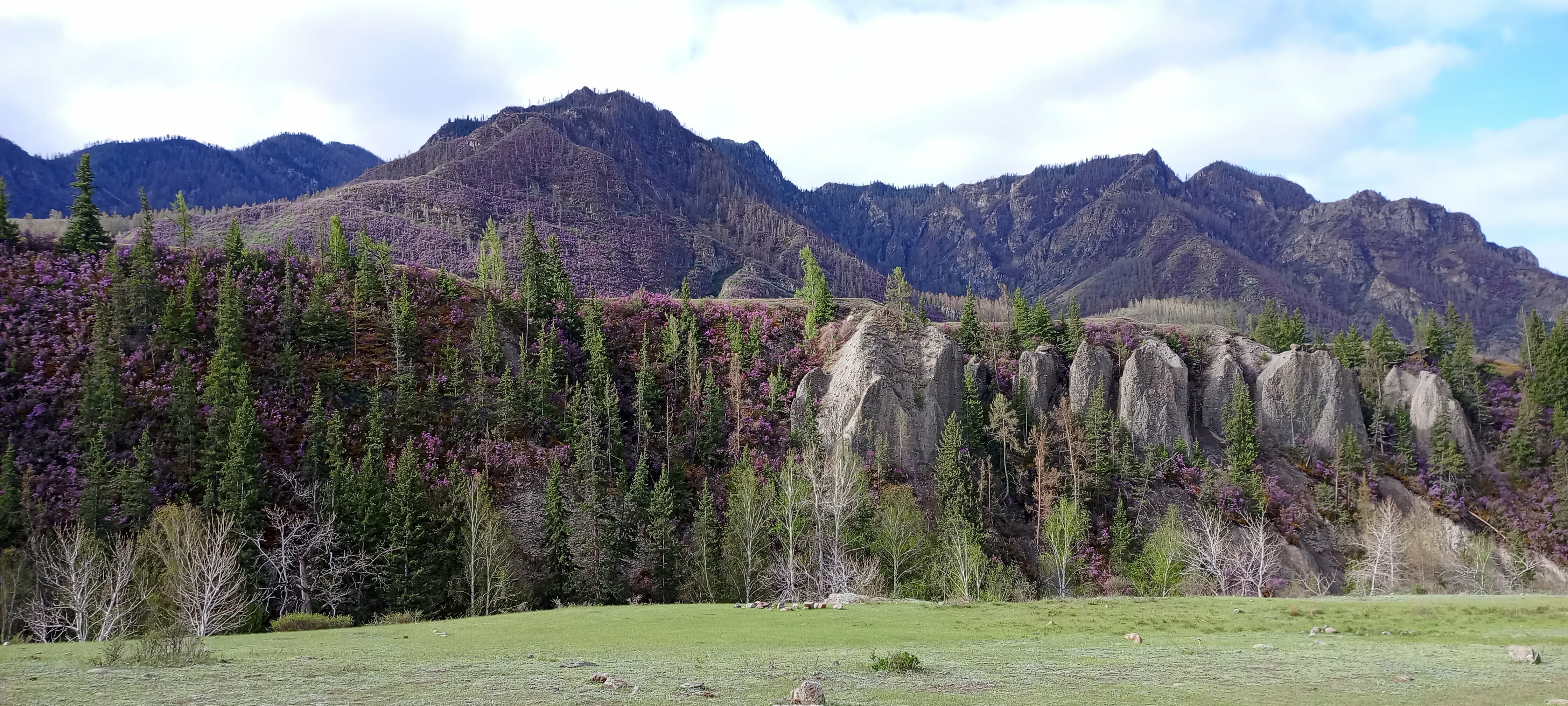 Двухместный номер с 2 отдельными кроватями, вид на горы