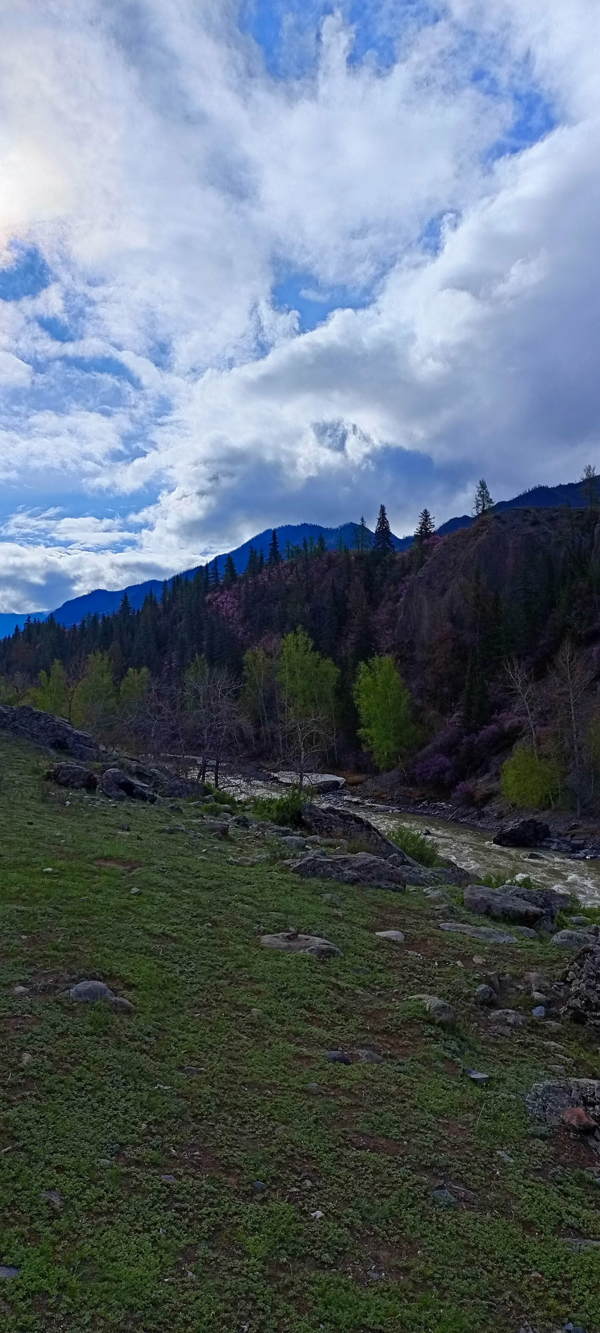 Двухместный номер с 1 кроватью и собственной ванной комнатой