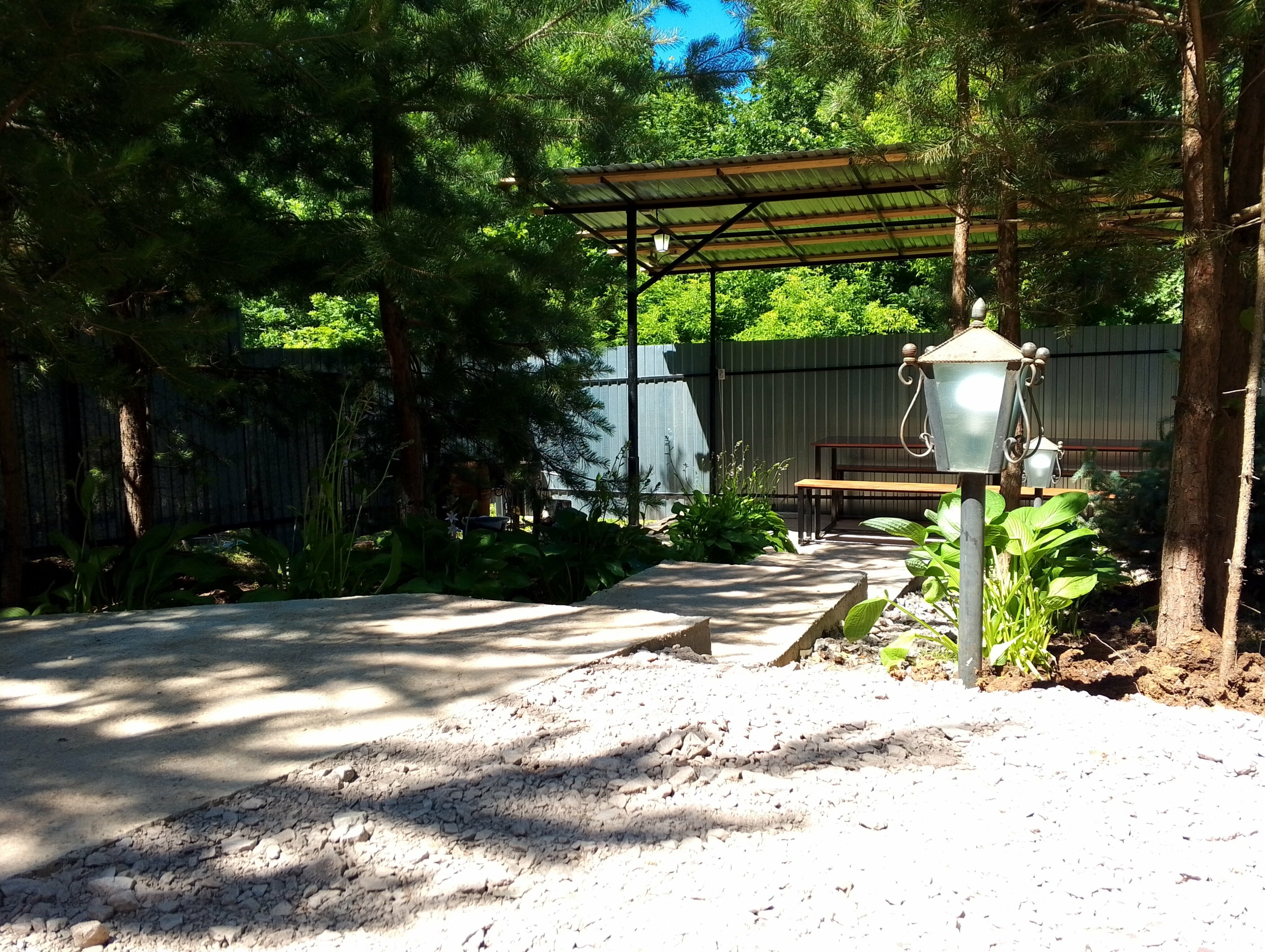 Дом с видом на лес