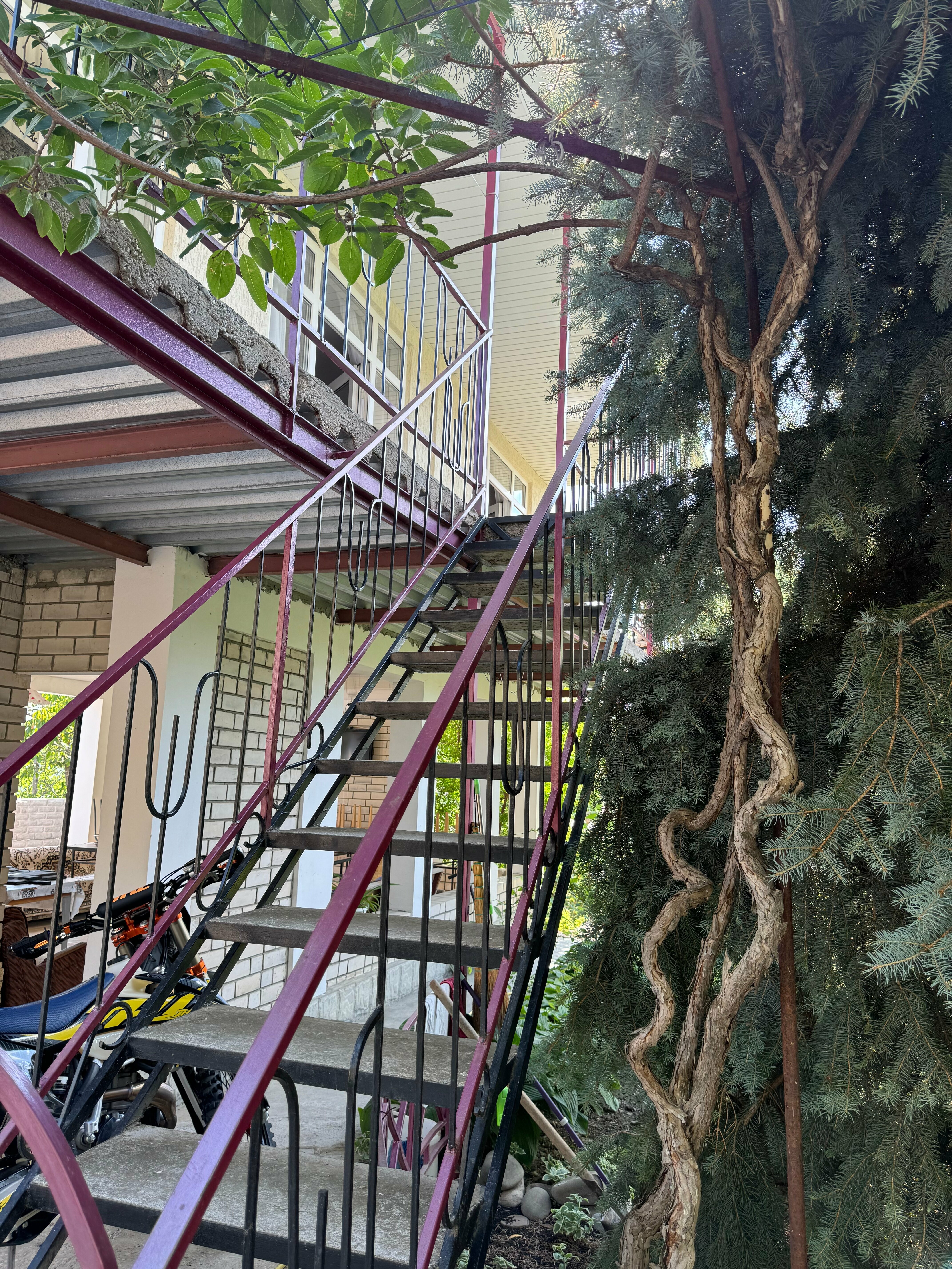 Двухместный номер с 1 кроватью или 2 отдельными кроватями