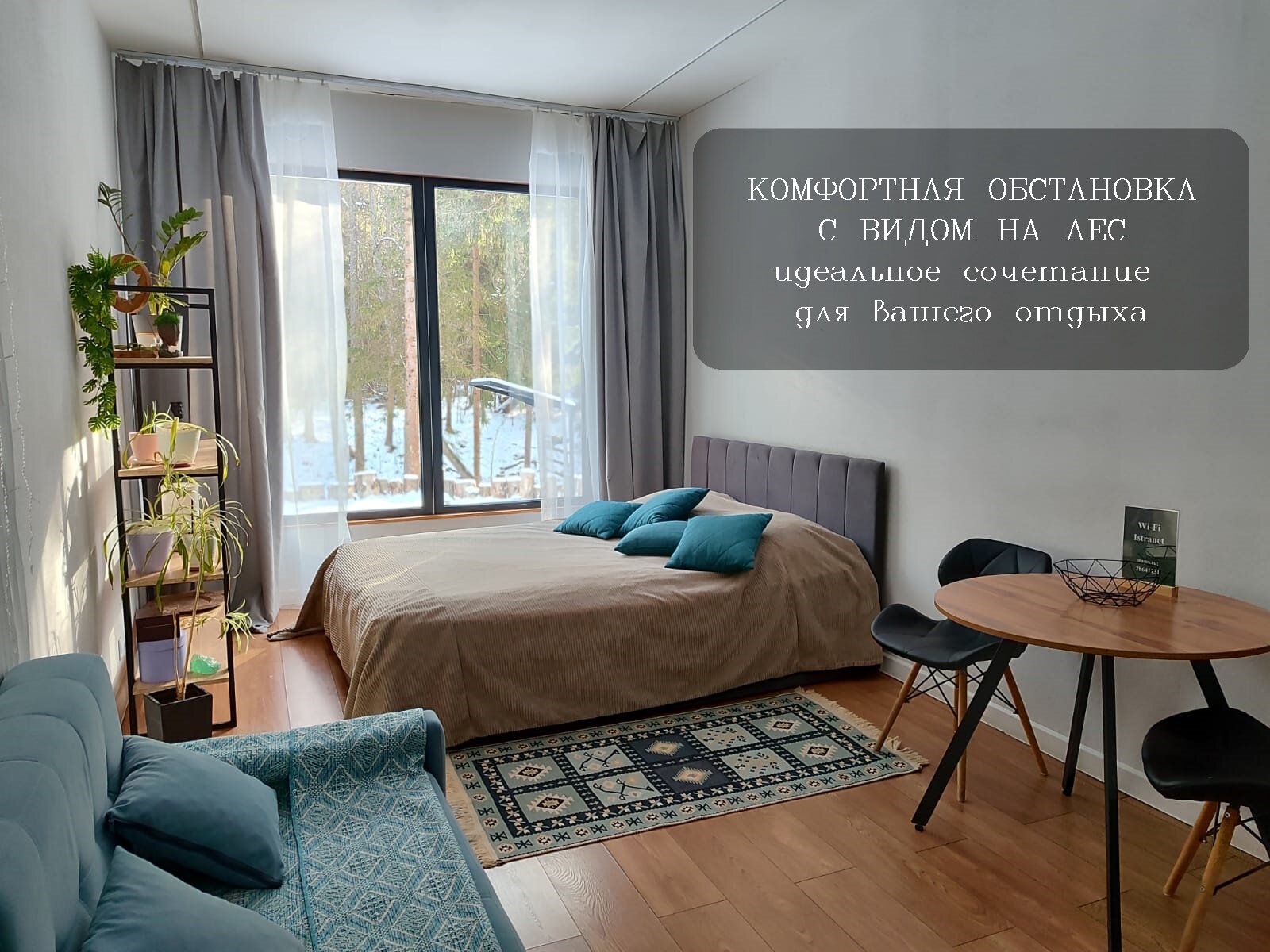 Двухместный номер с 1 кроватью и видом на парк