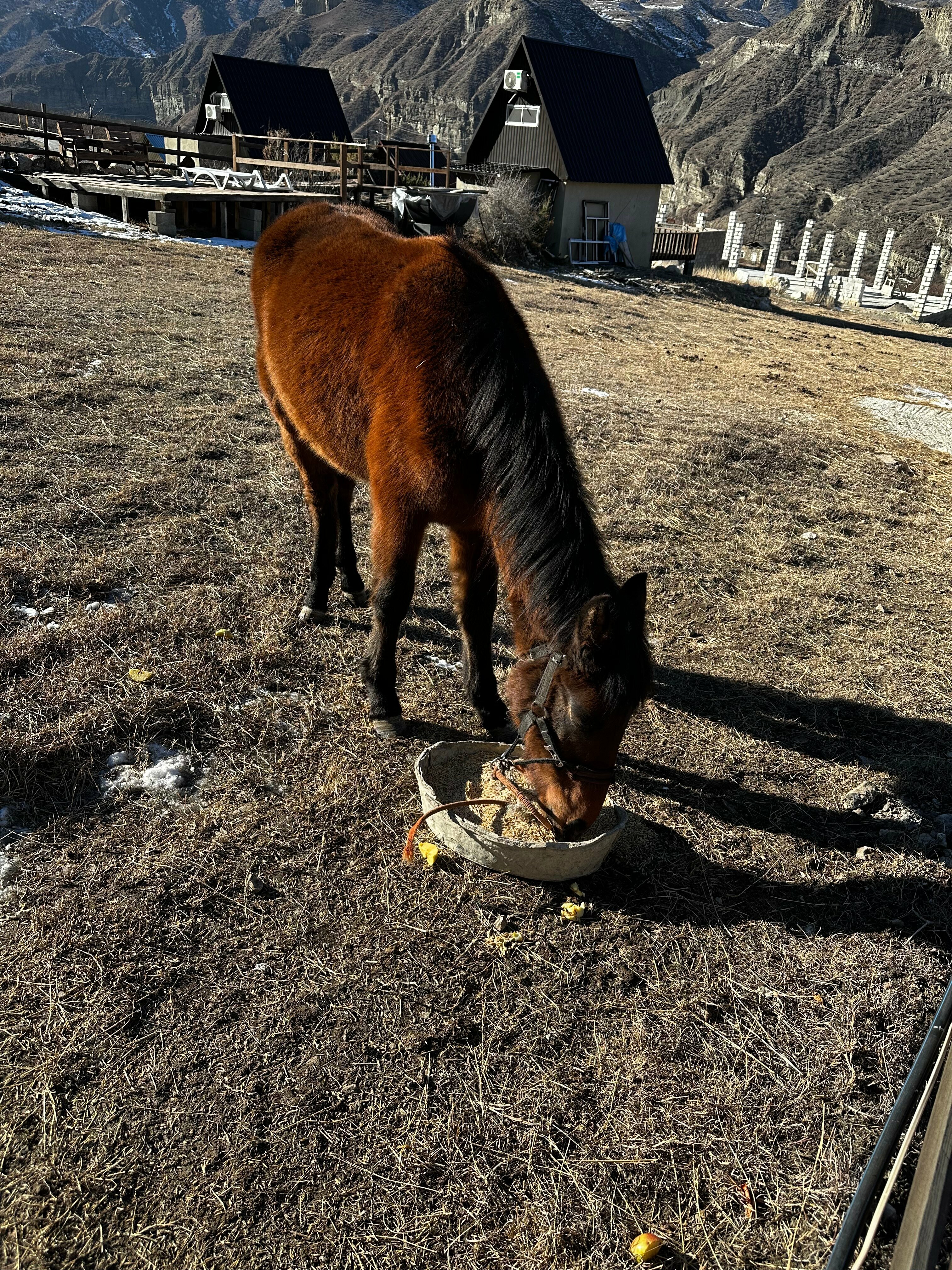 Семейный номер с видом на горы