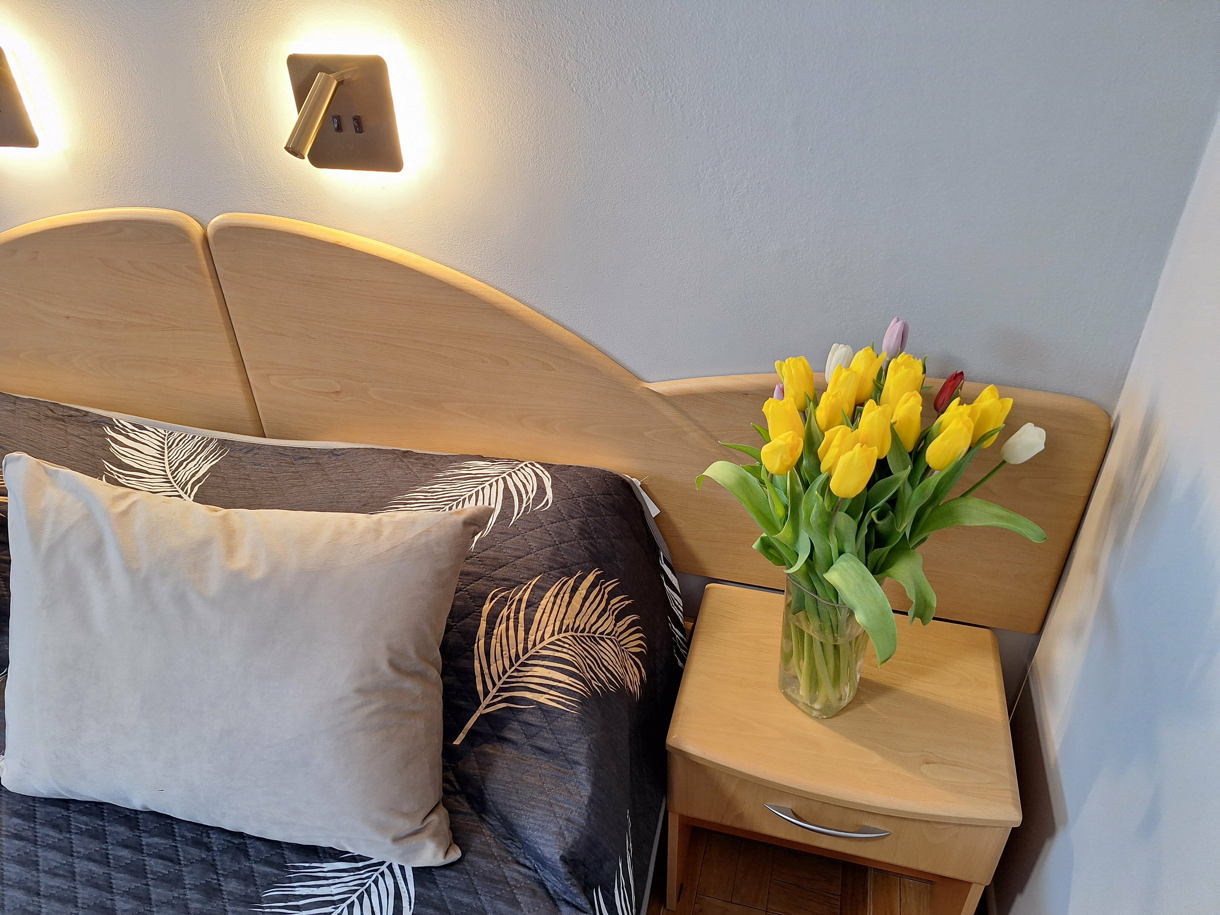 «ЗАКАТ» СТАНДАРТНЫЙ ЧЕТЫРЕХМЕСТНЫЙ НОМЕР С ДВУСПАЛЬНОЙ КРОВАТЬЮ,  ДВУСПАЛЬНЫЙ ДИВАН