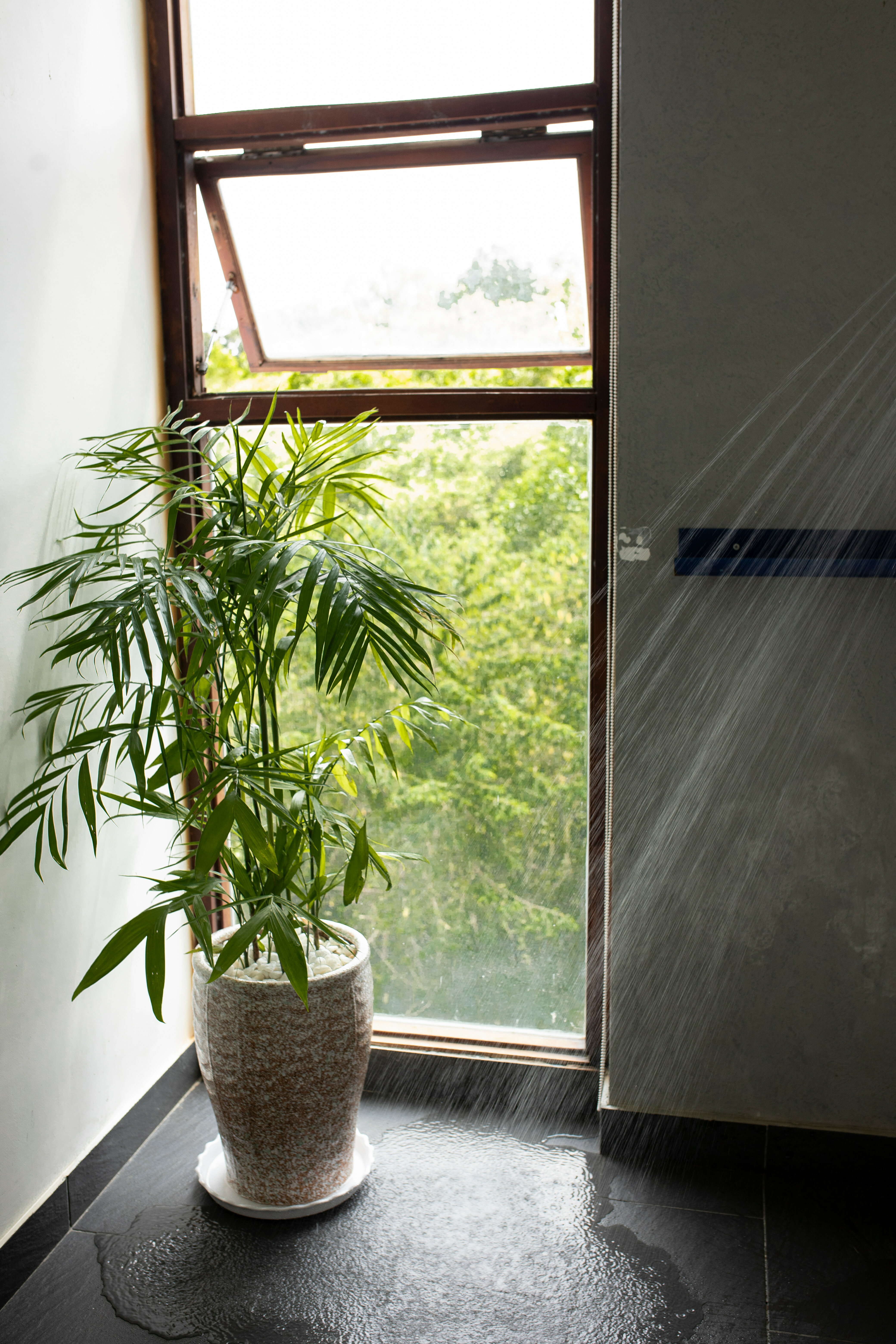 Номер-студия Делюкс с кроватью размера «king-size»