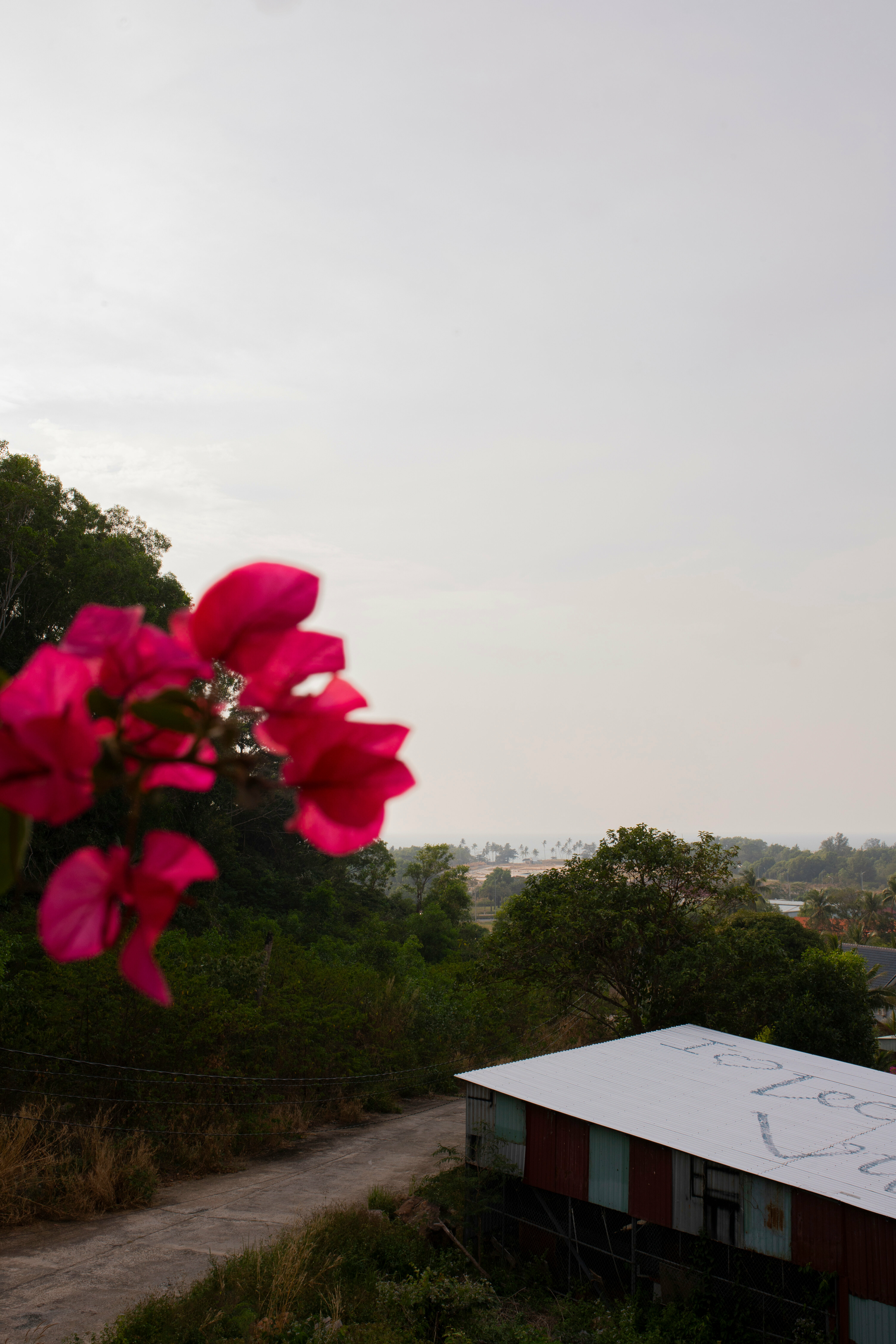 Двухместный номер с 1 кроватью и видом на море