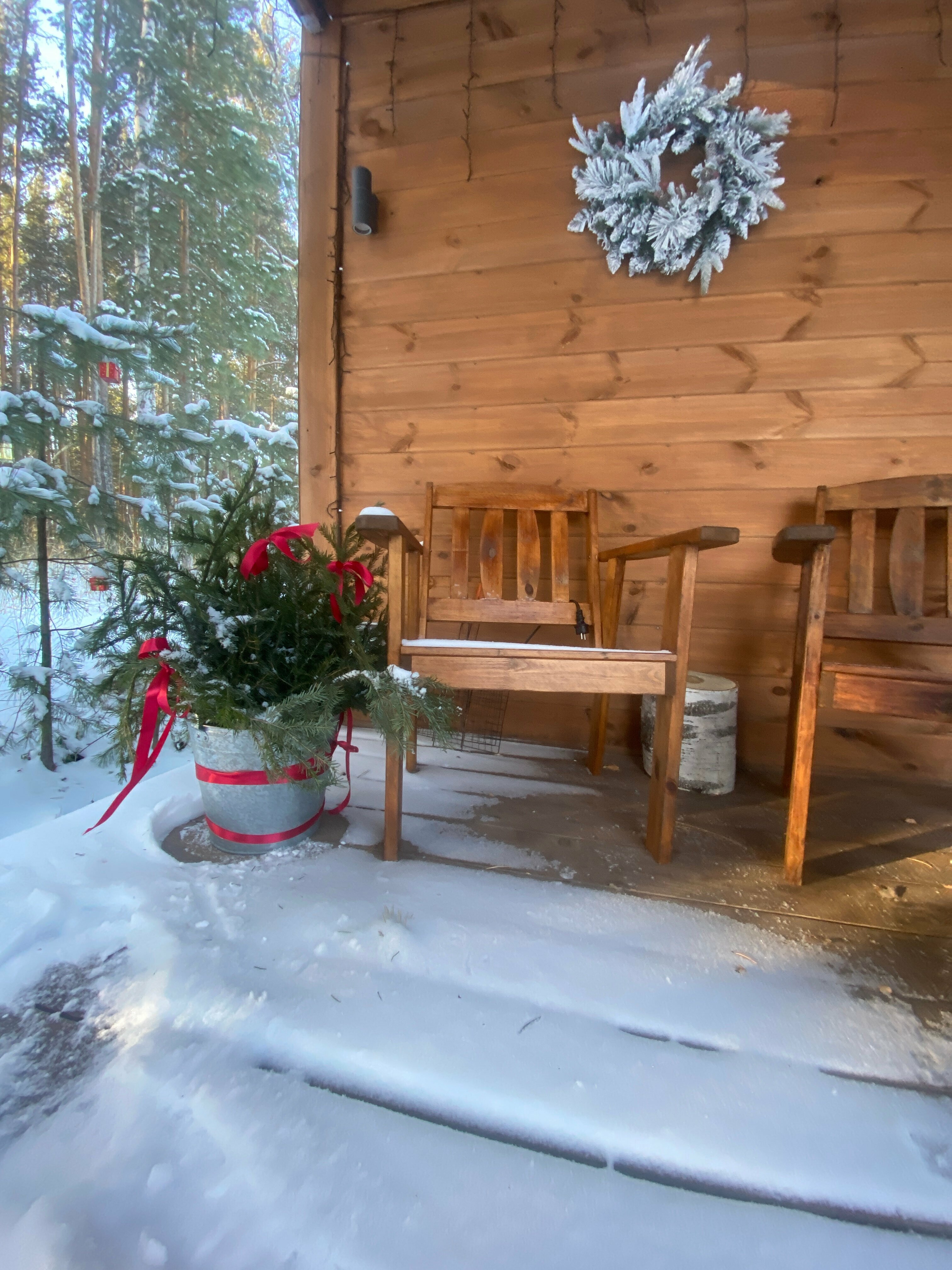 Дом с видом на лес