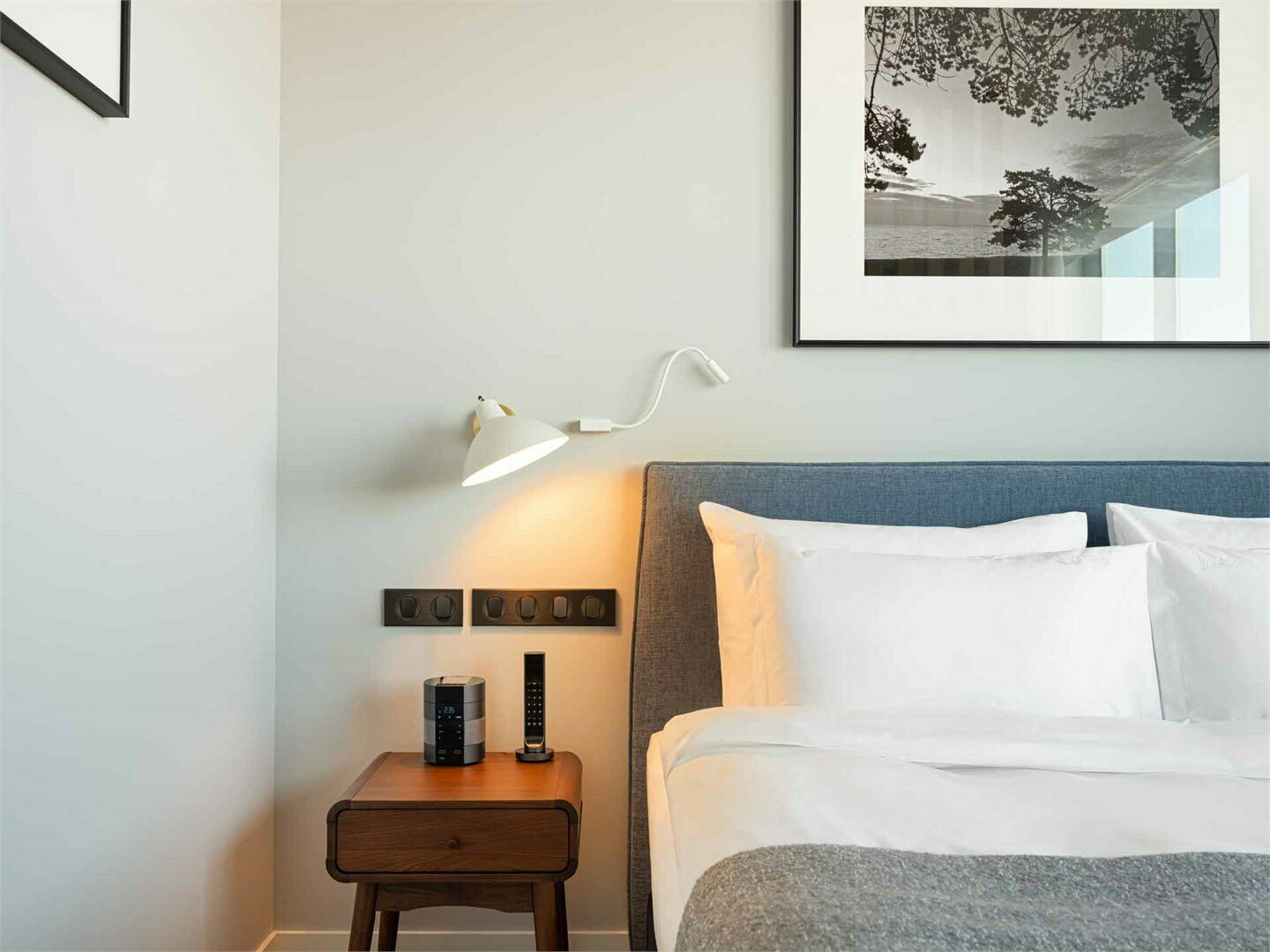 Делюкс Нордик