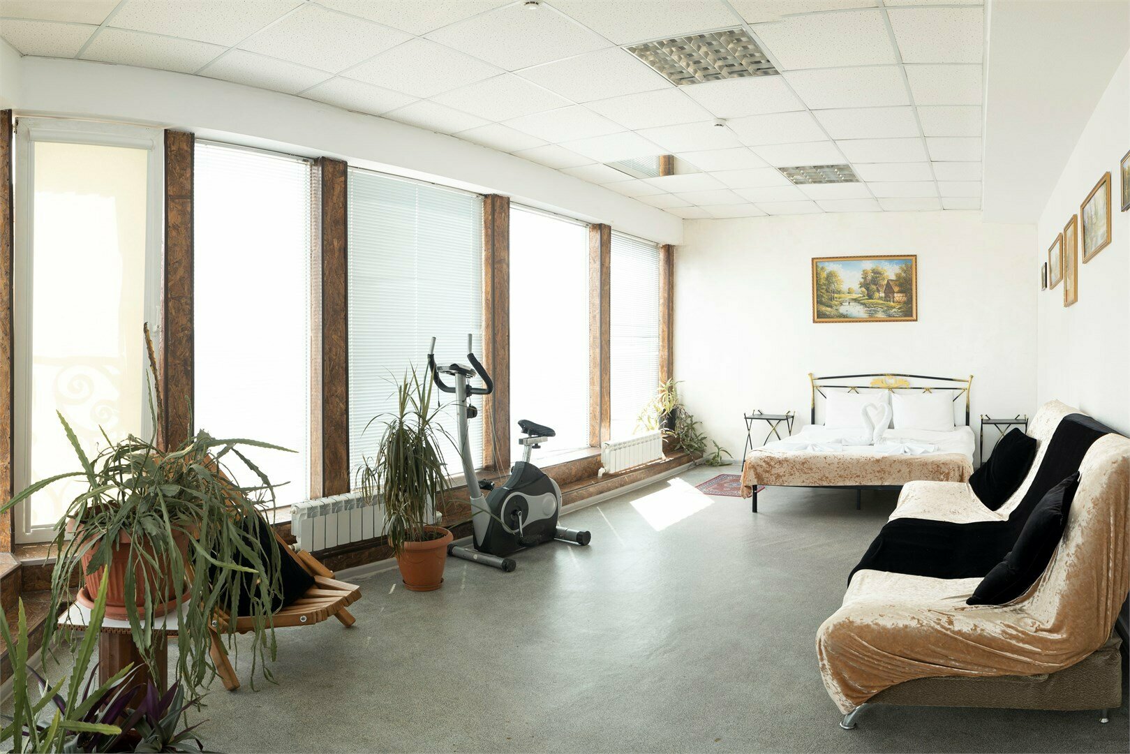 Двухкомнатный Лофт