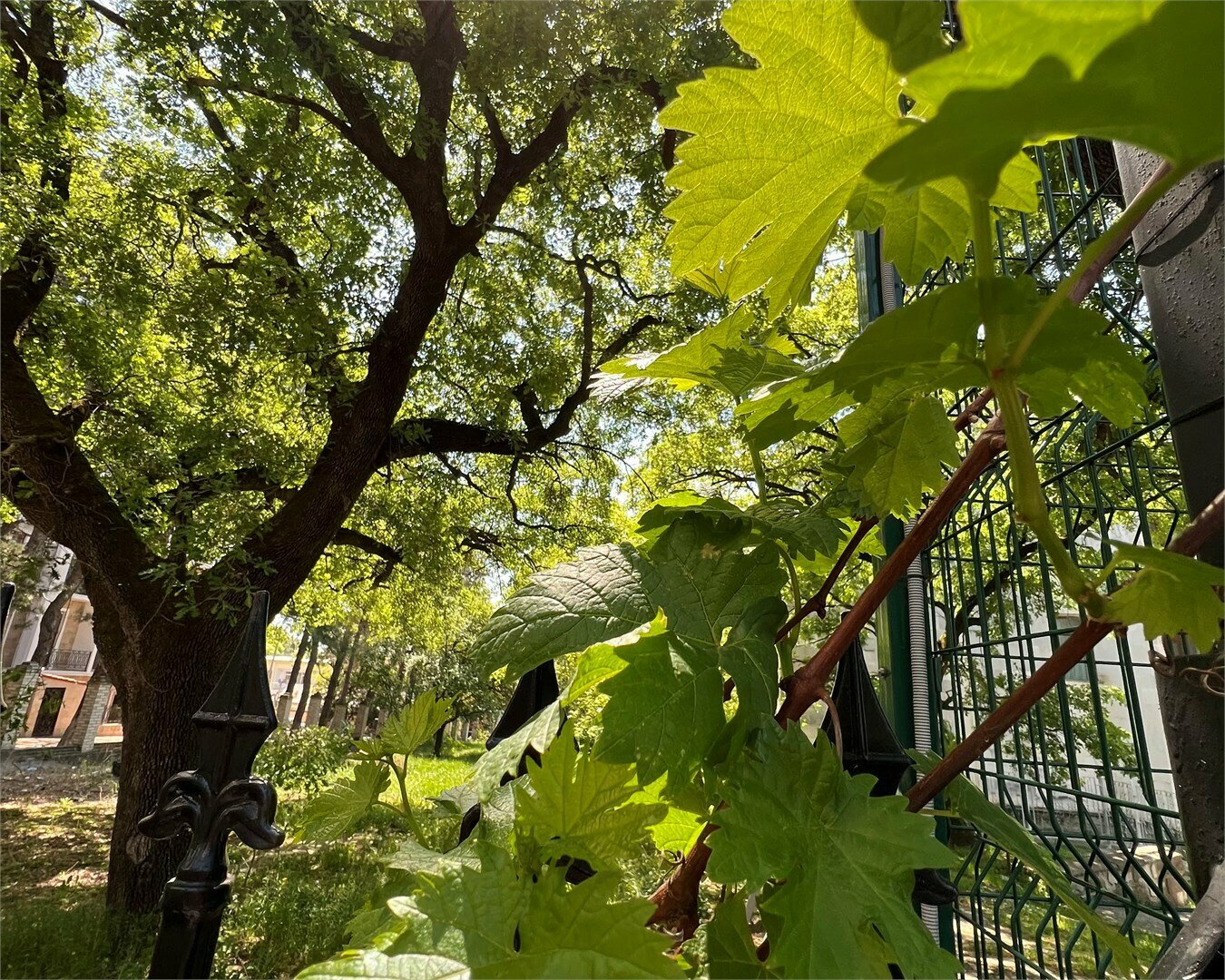 Семейный 4-местный