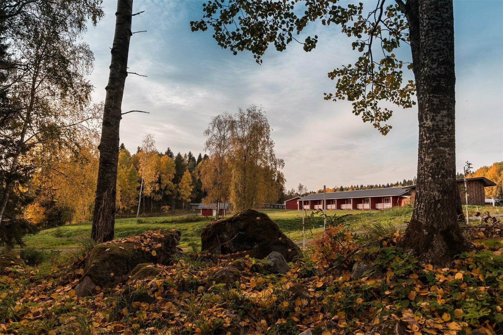 Номер Комфорт с двуспальной кроватью Норвежская деревня