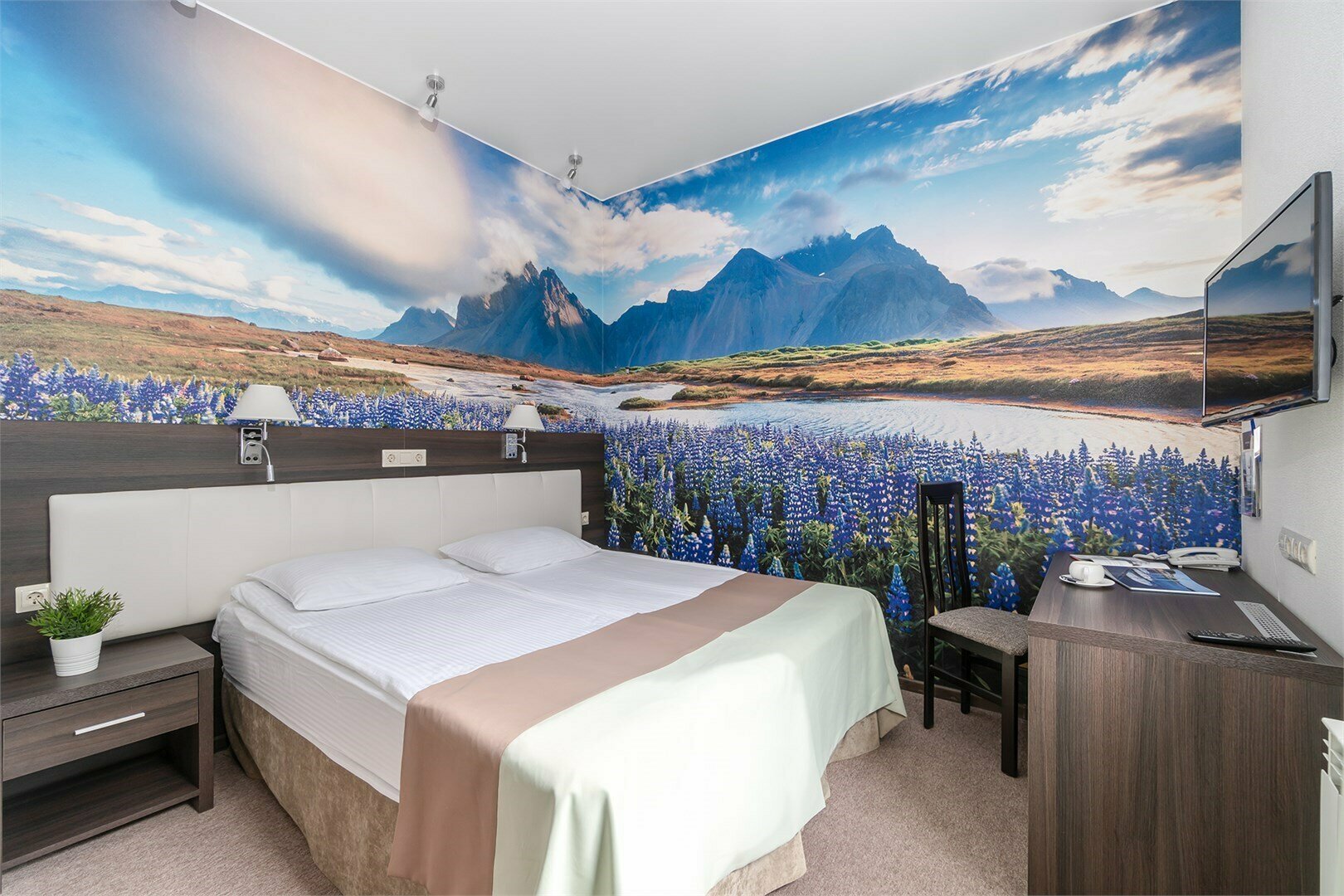 Стандартный двухместный номер с 1 кроватью или 2 отдельными кроватями