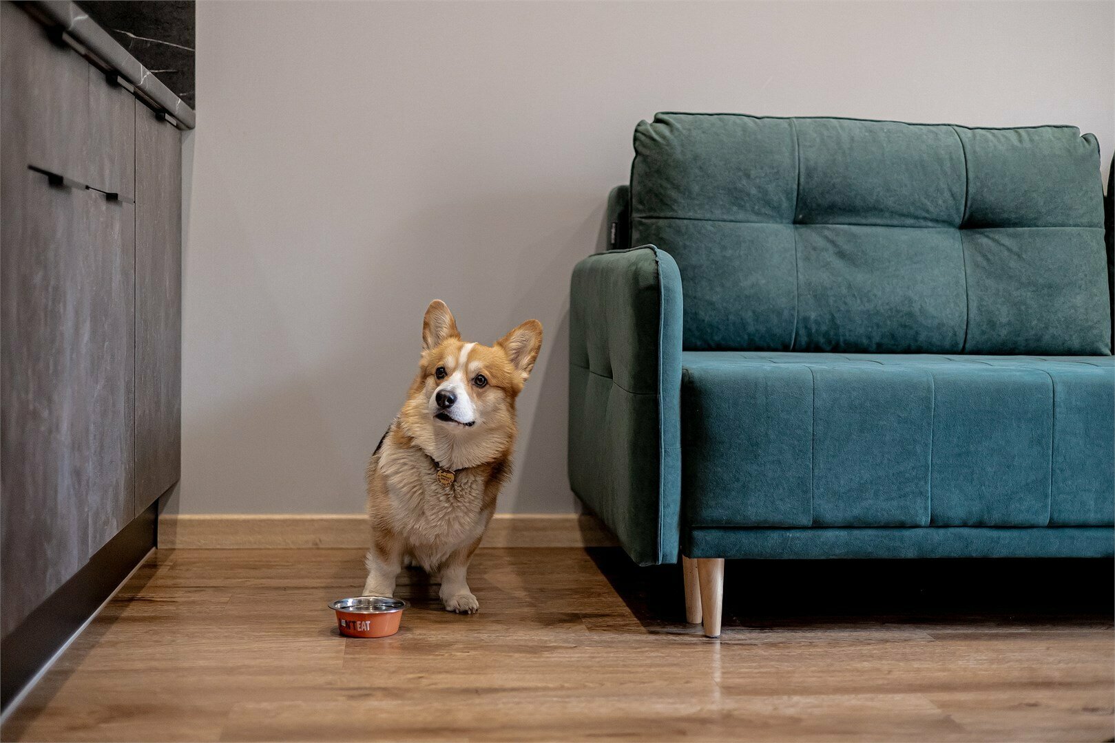 Апартамент без балкона