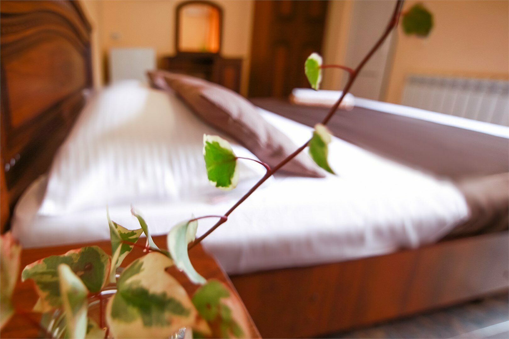 Стандартный четырехместный номер