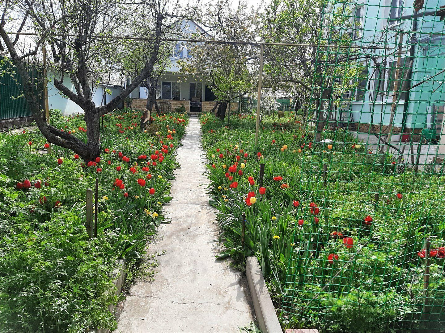 Студия на мансарде