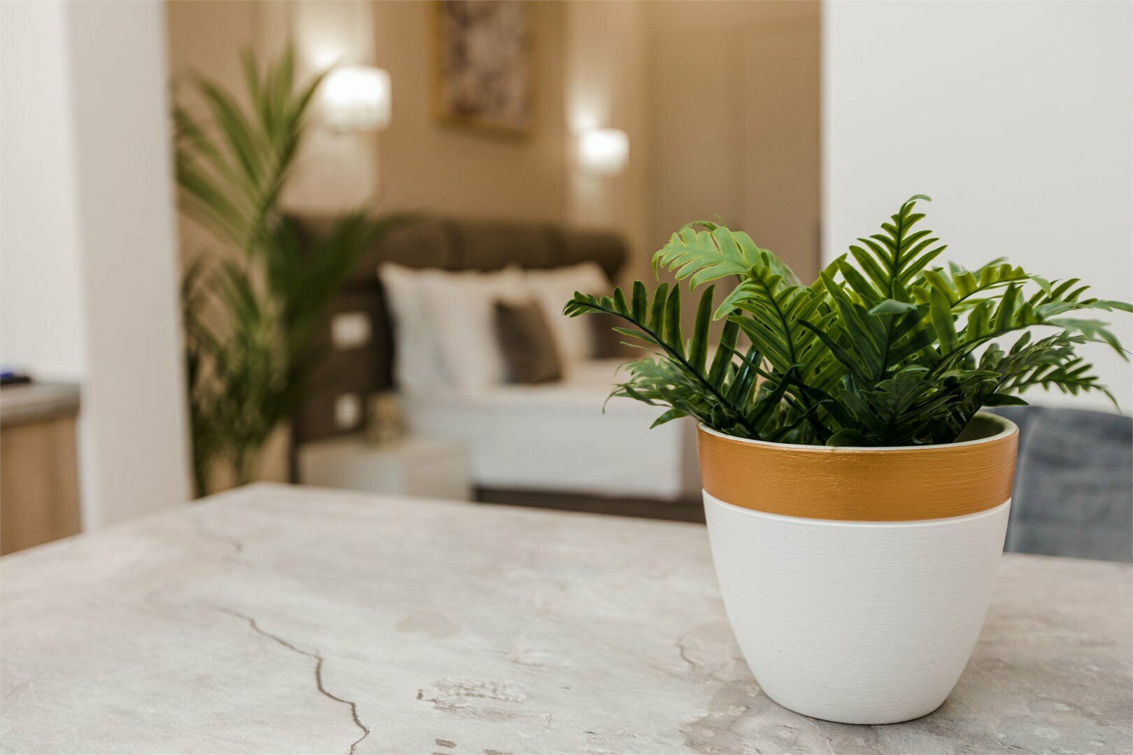 Студия Стандарт