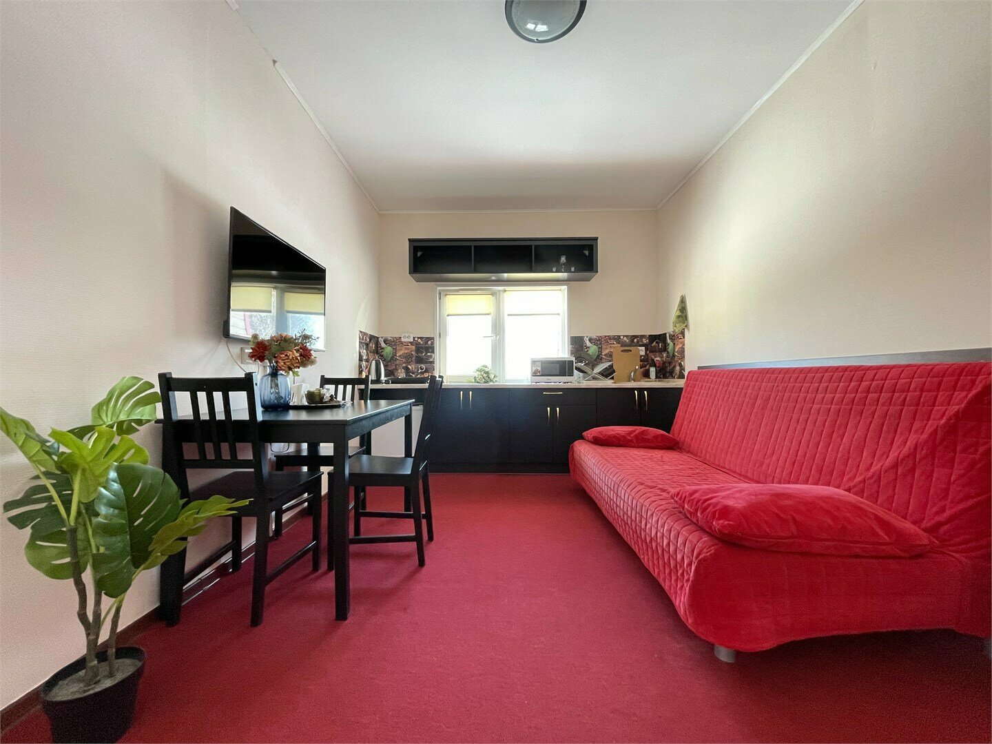 Апартаменты с мини-кухней