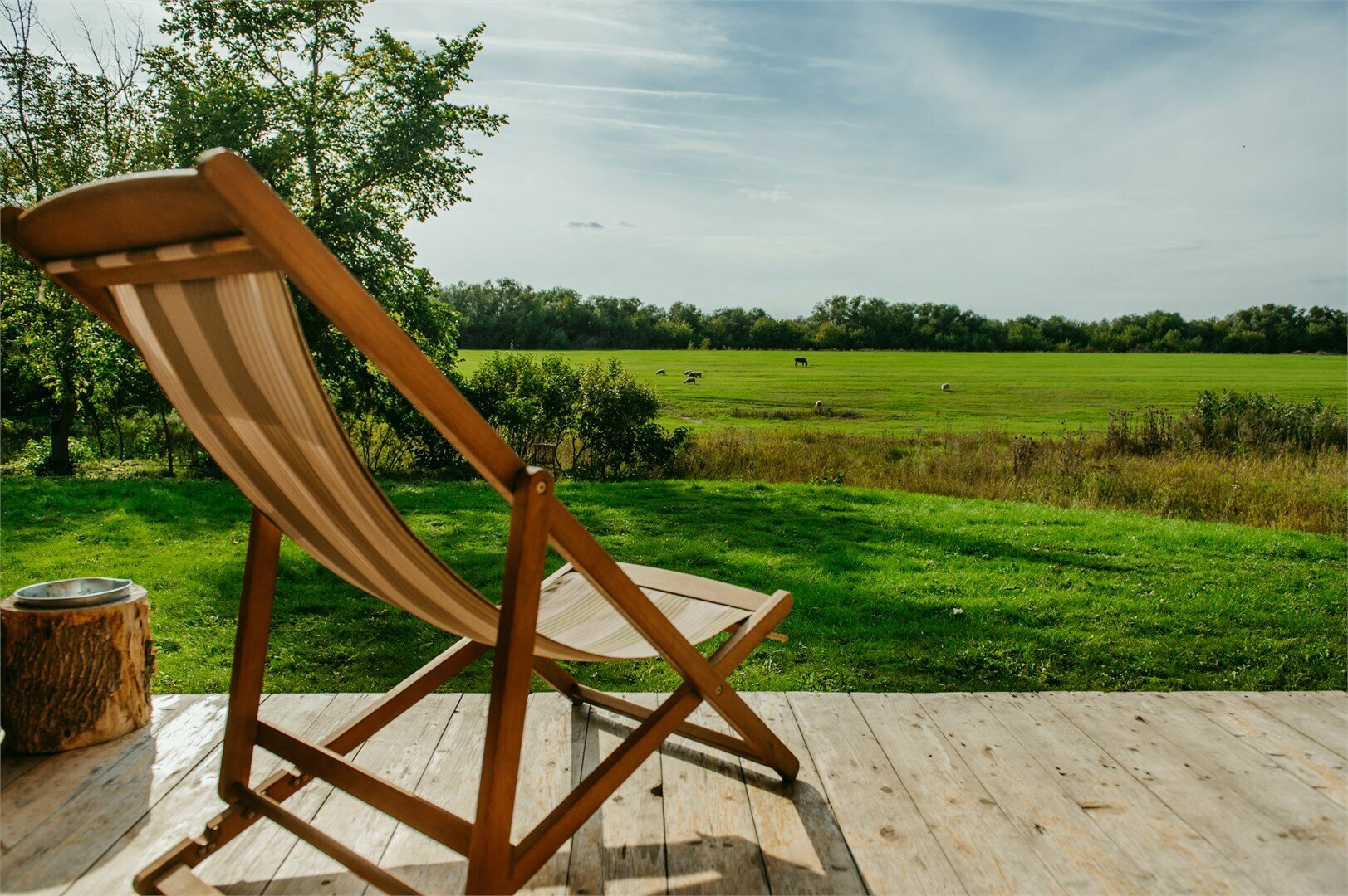 Номер с панорамными окнами в дворовой избе "Берёзки"