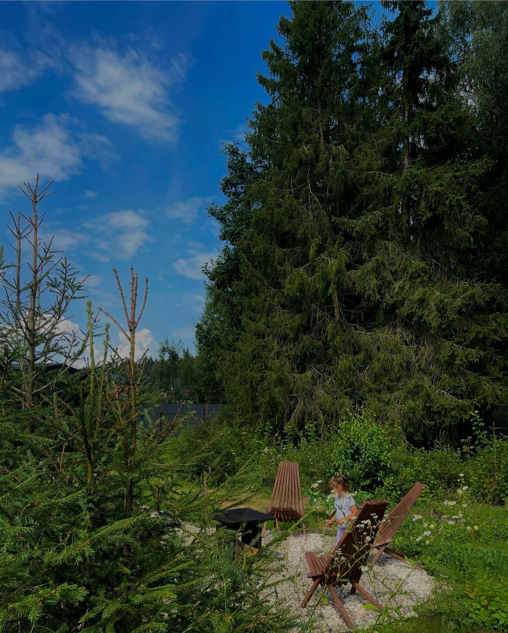 Дом с видом на лес