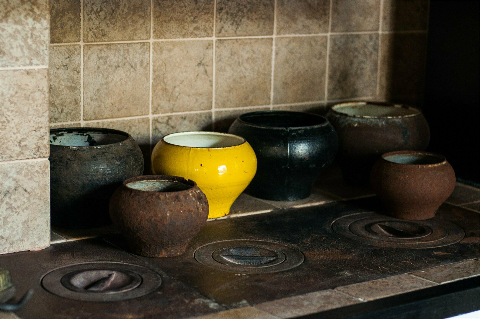 Профессорский курень