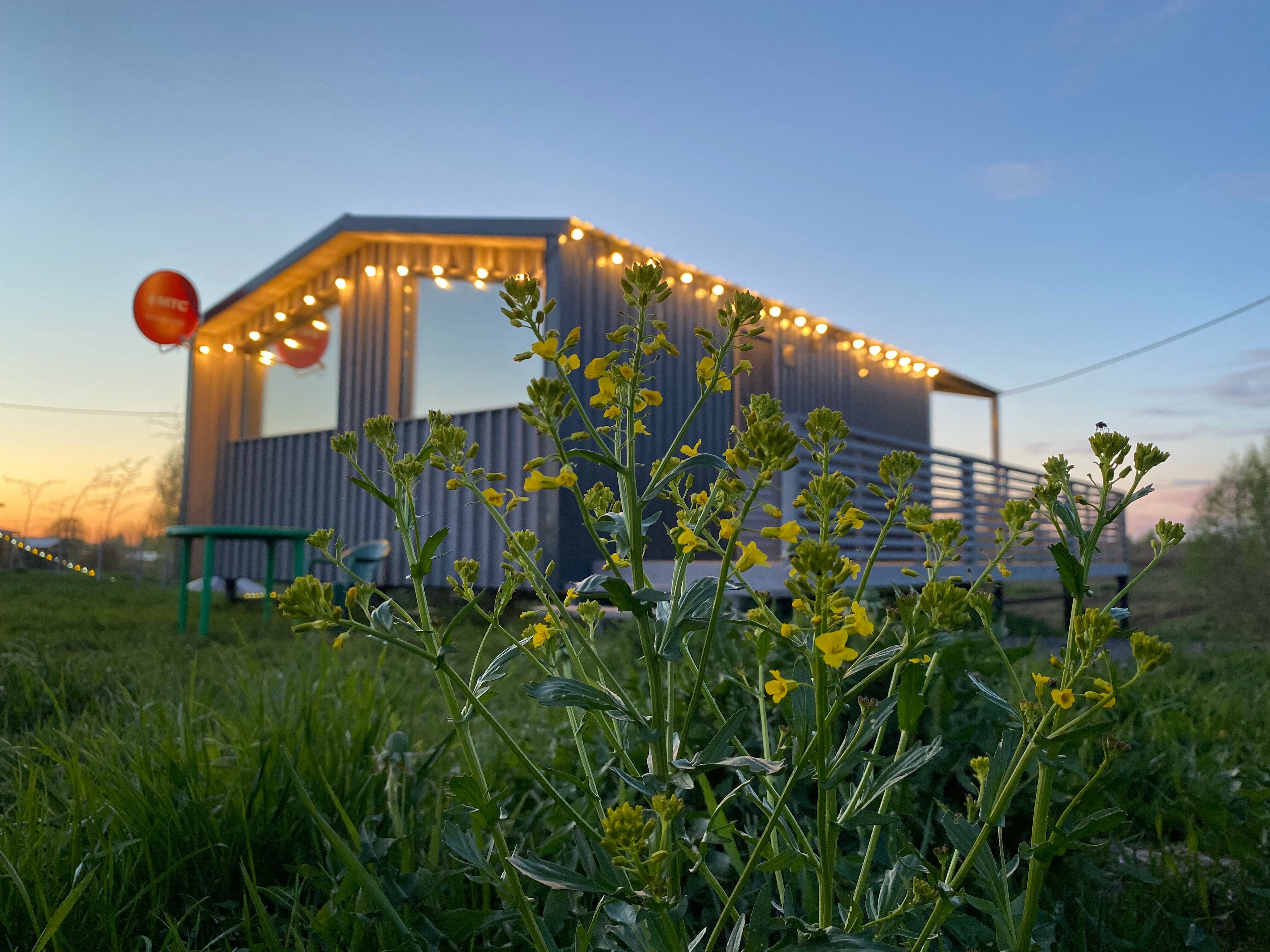 Коттедж с видом на лес