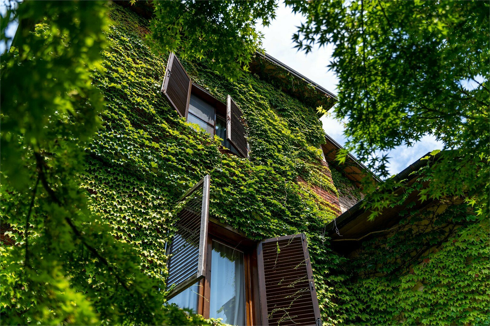 Коттедж- апартаменты