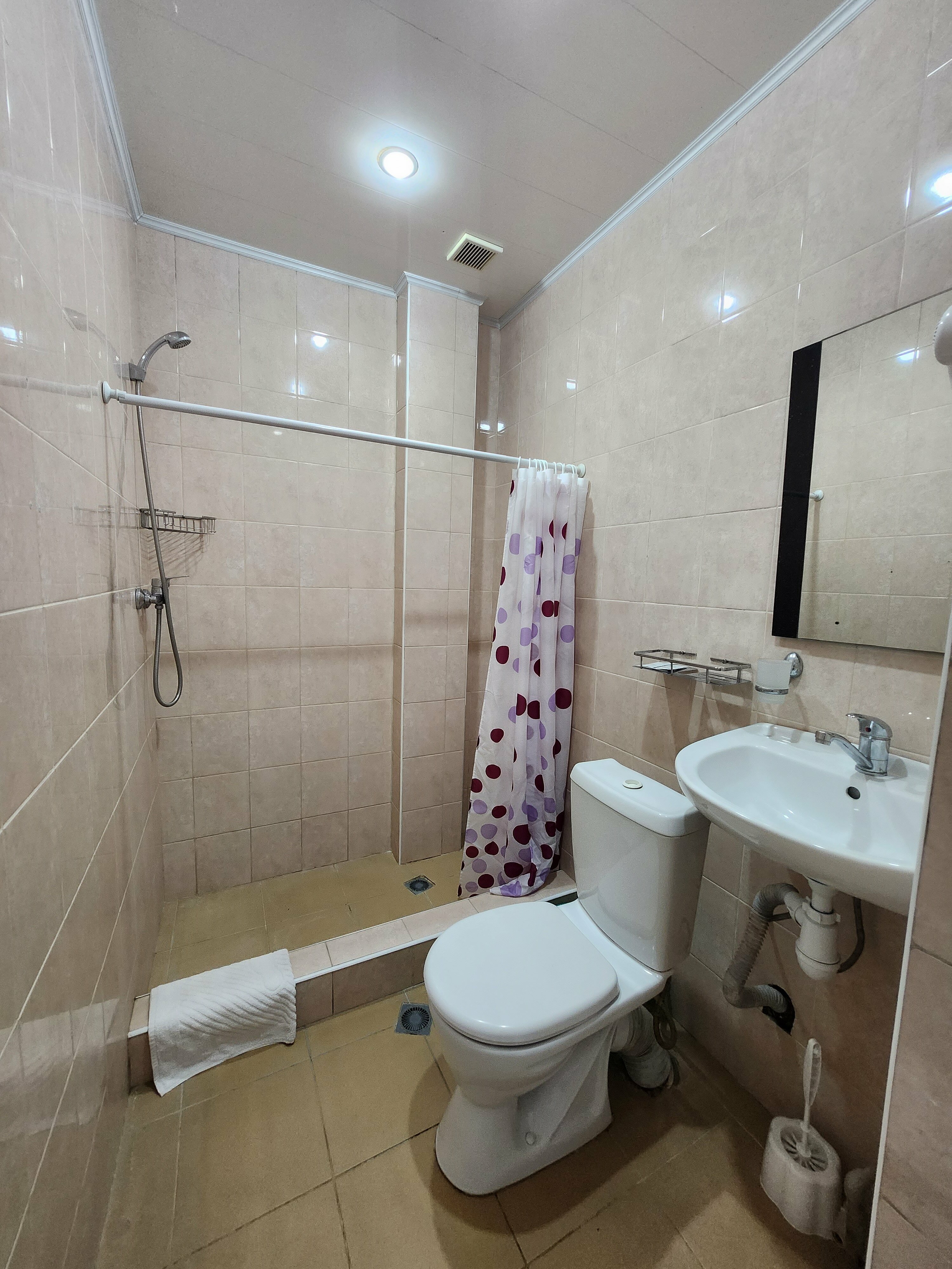 Двухместный номер с 1 кроватью или 2 отдельными кроватями