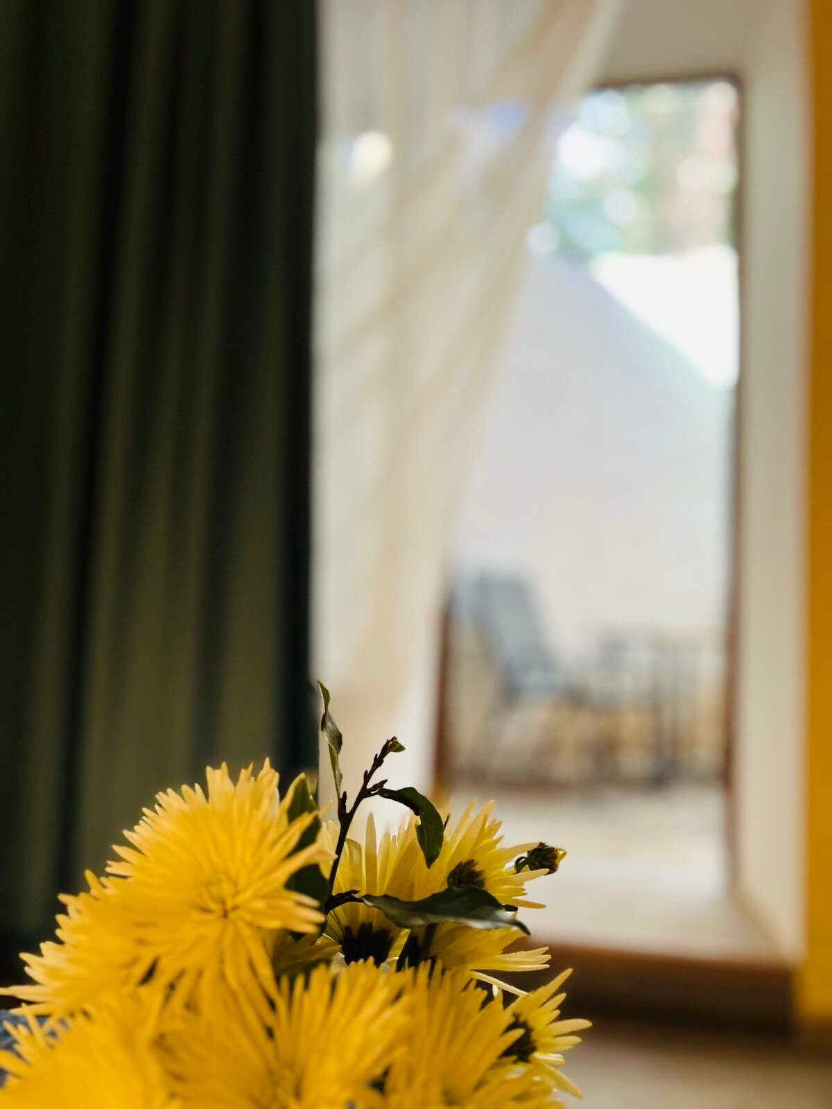 Улучшенный стандартный номер с 1 двуспальной кроватью и выходом во внутренний дворик