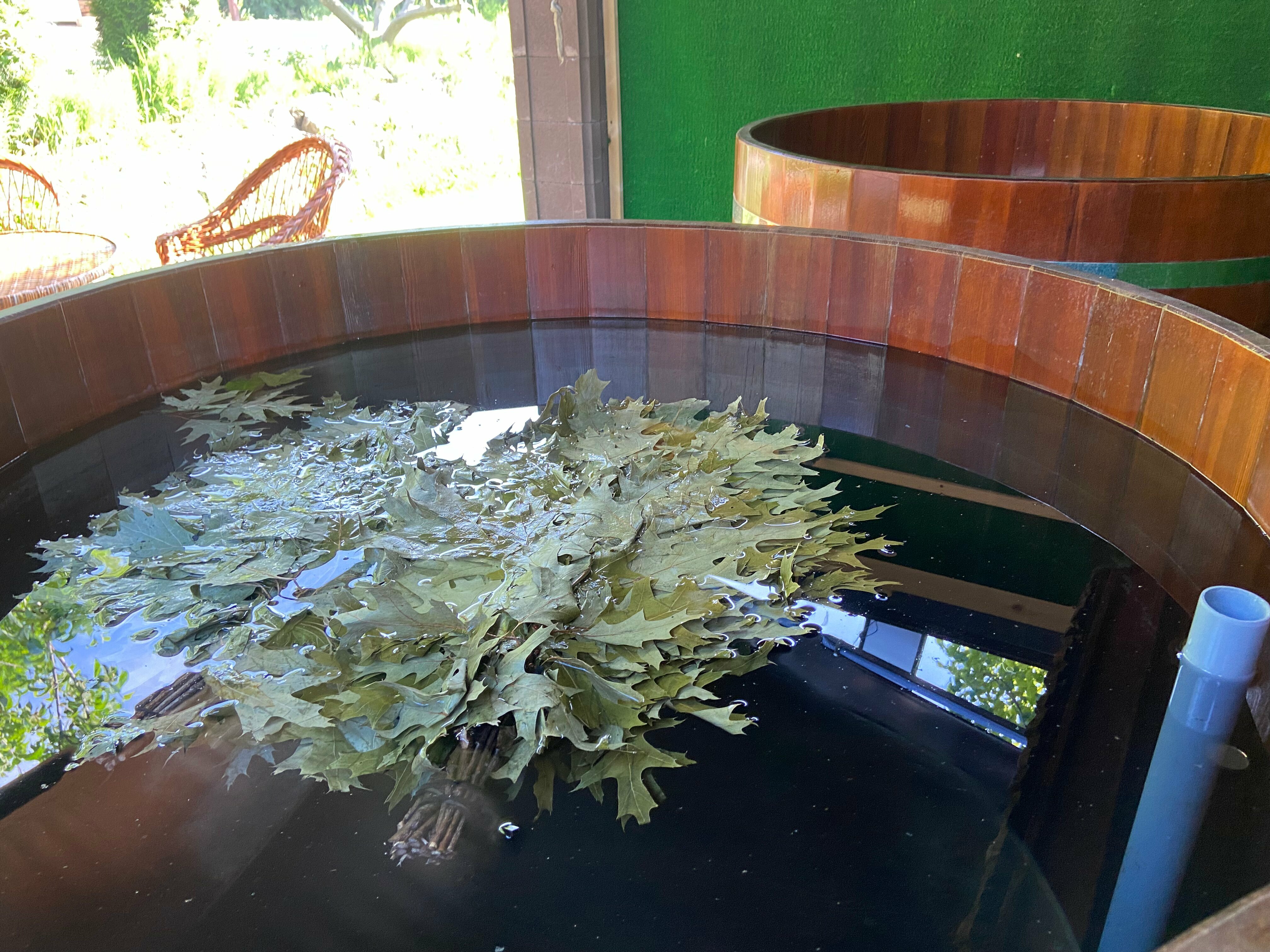 Дом с собственным бассейном