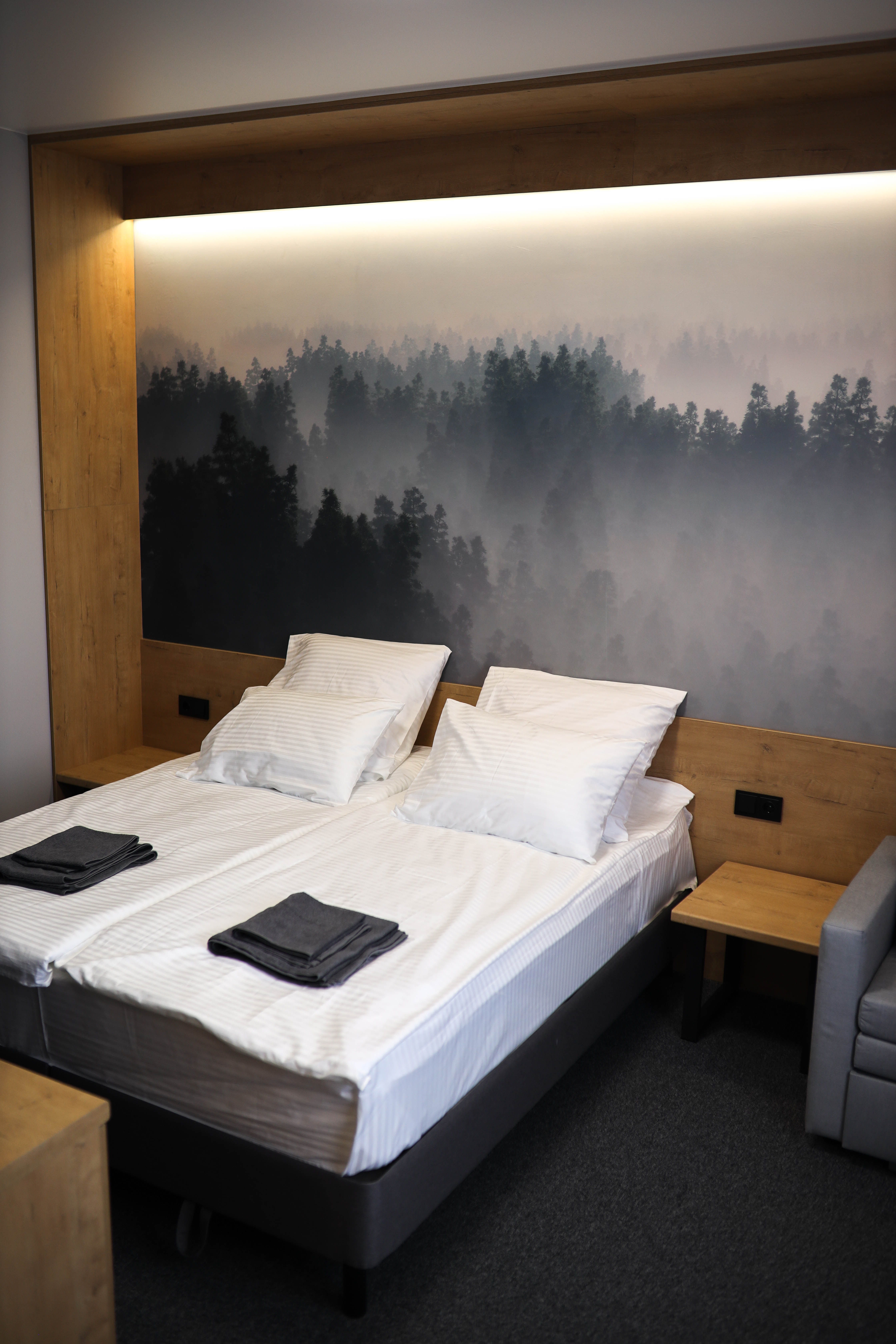 Стандартный двухместный номер с 1 кроватью или 2 отдельными кроватями