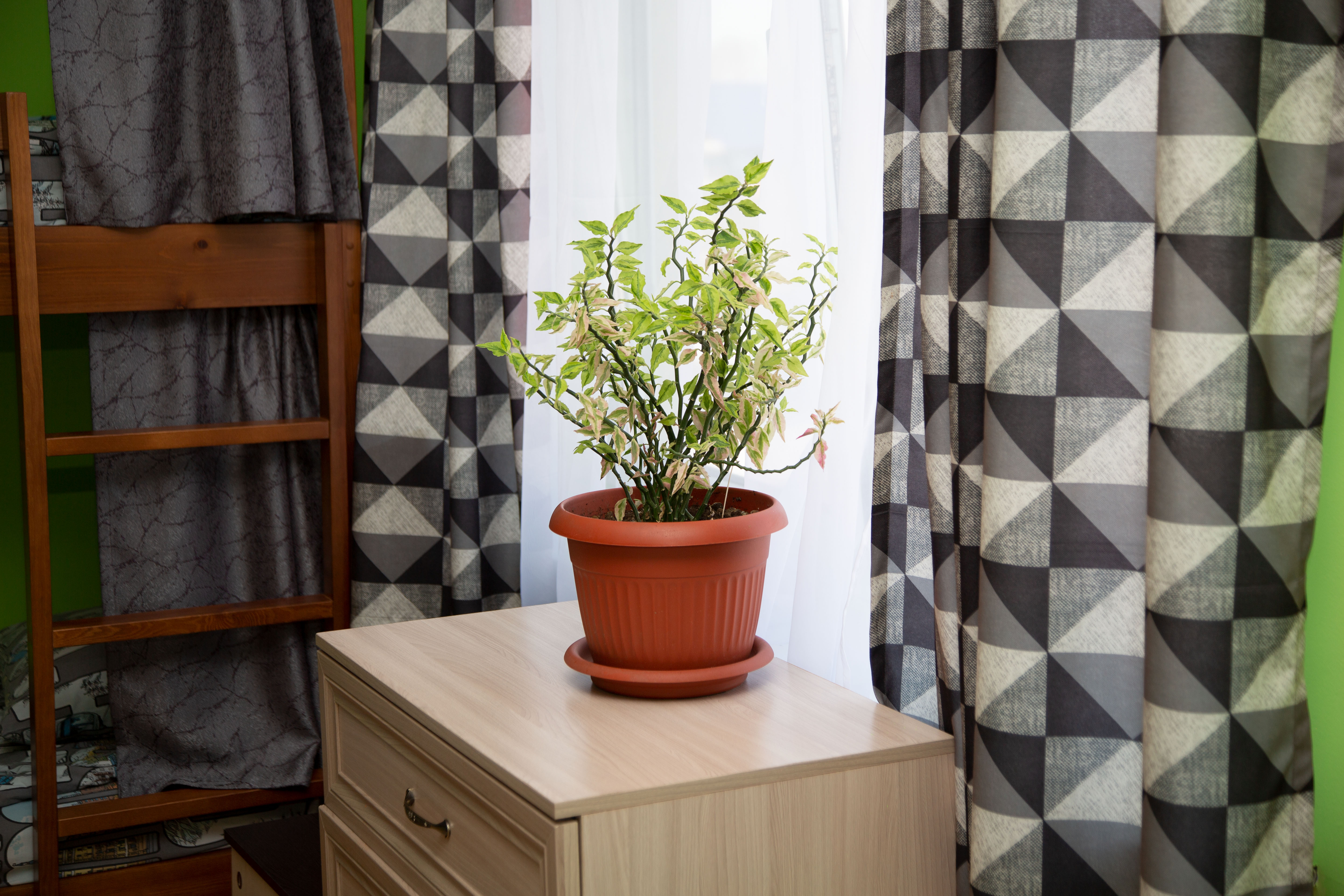 Кровать в общем 4-местном номере для мужчин и женщин