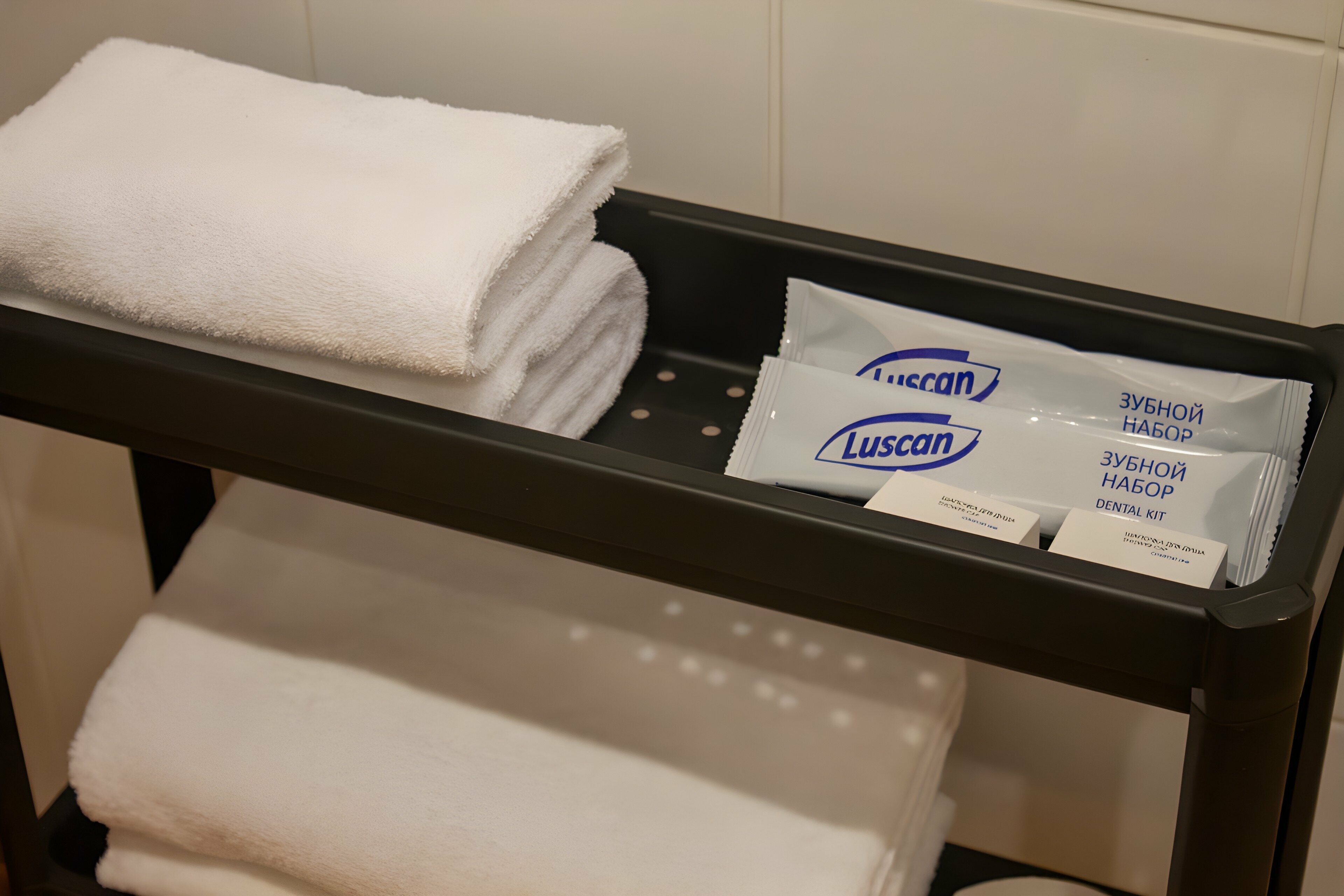 Двухместный номер с 2 отдельными кроватями и террасой