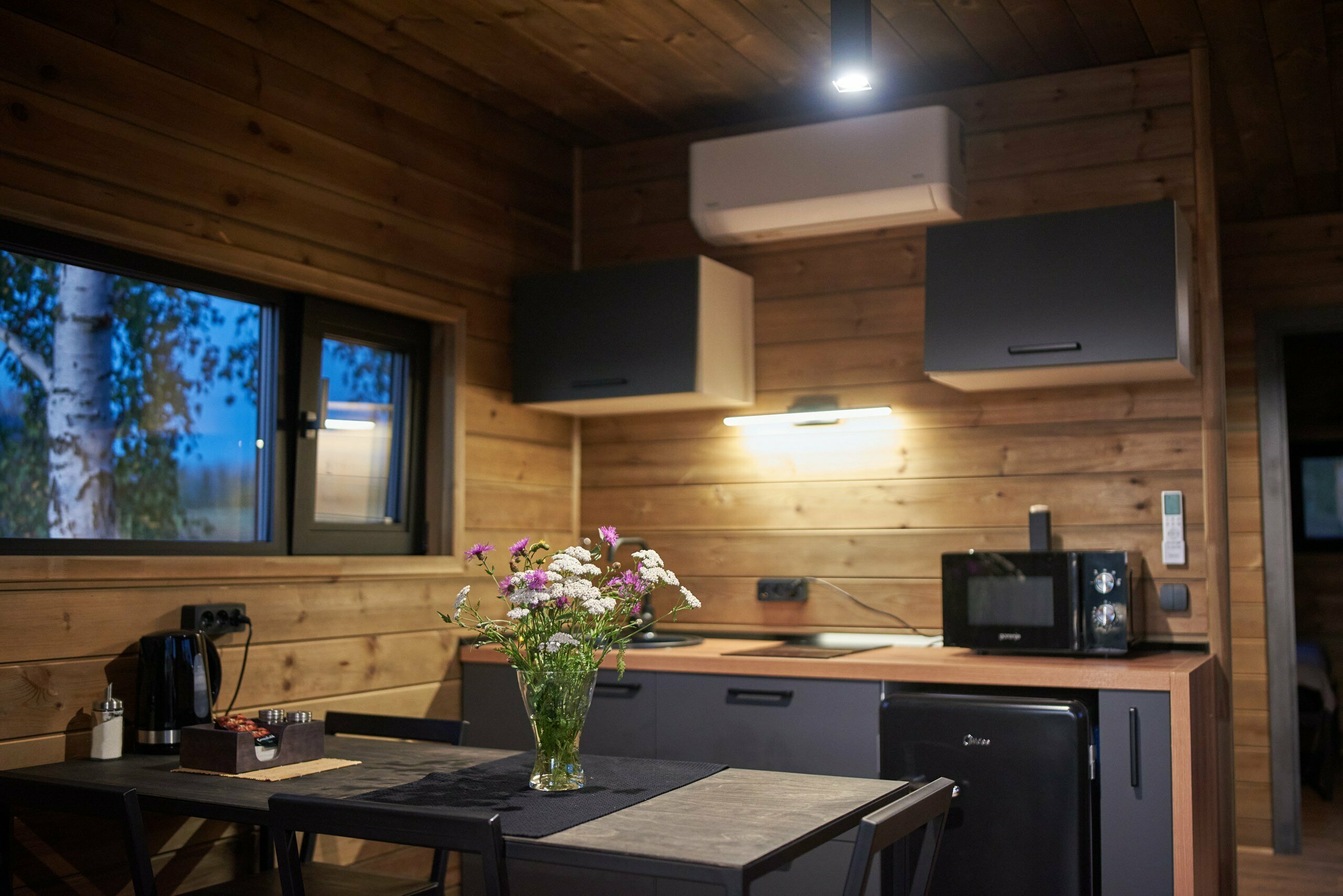 Полярная Звезда