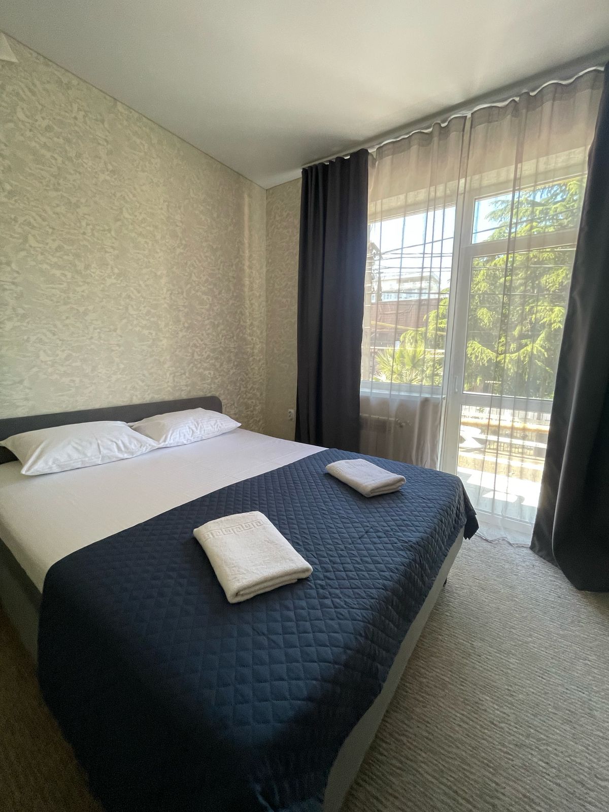 Двухместный номер с 1 кроватью и балконом