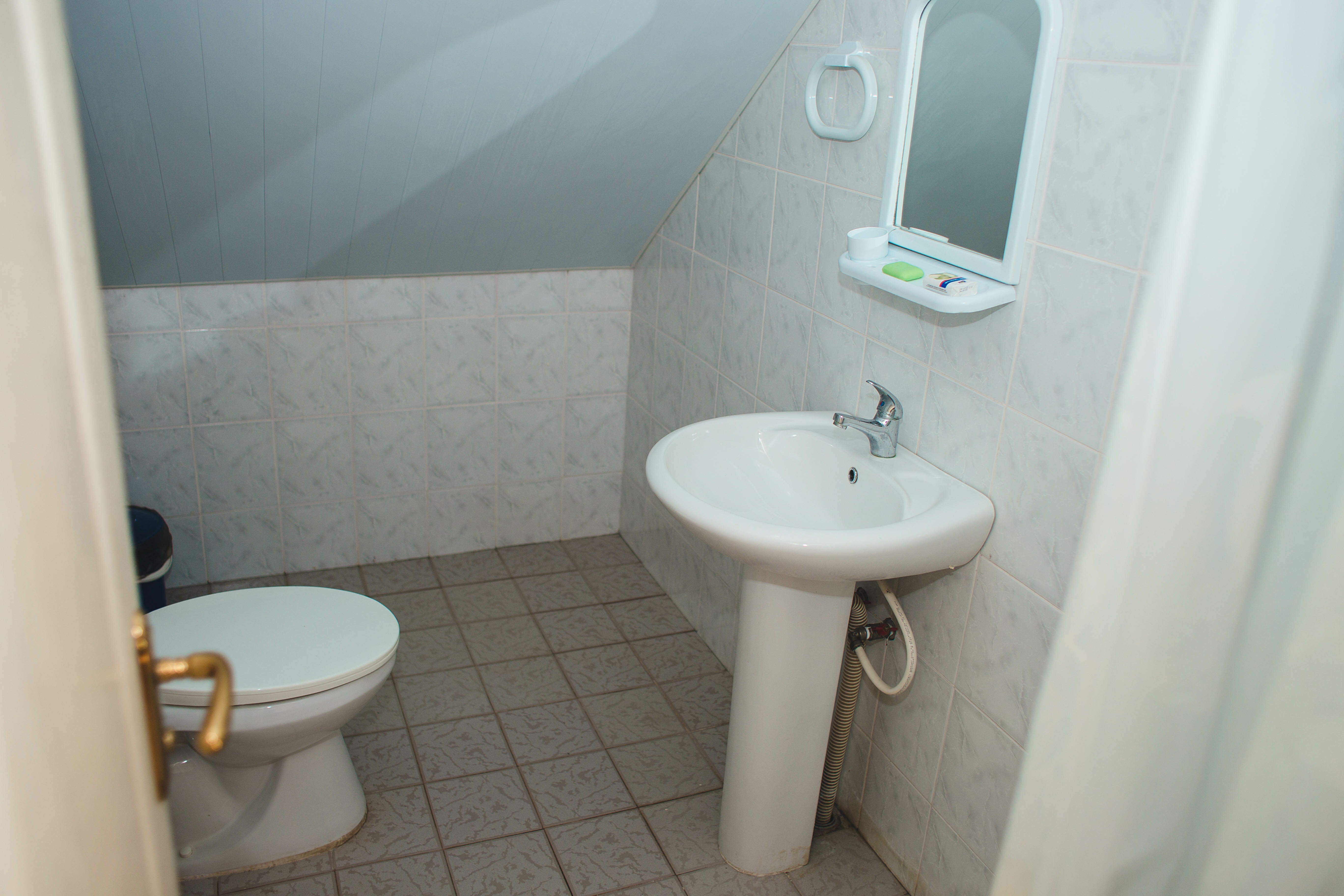 Двухместный номер с 1 кроватью и видом на парк