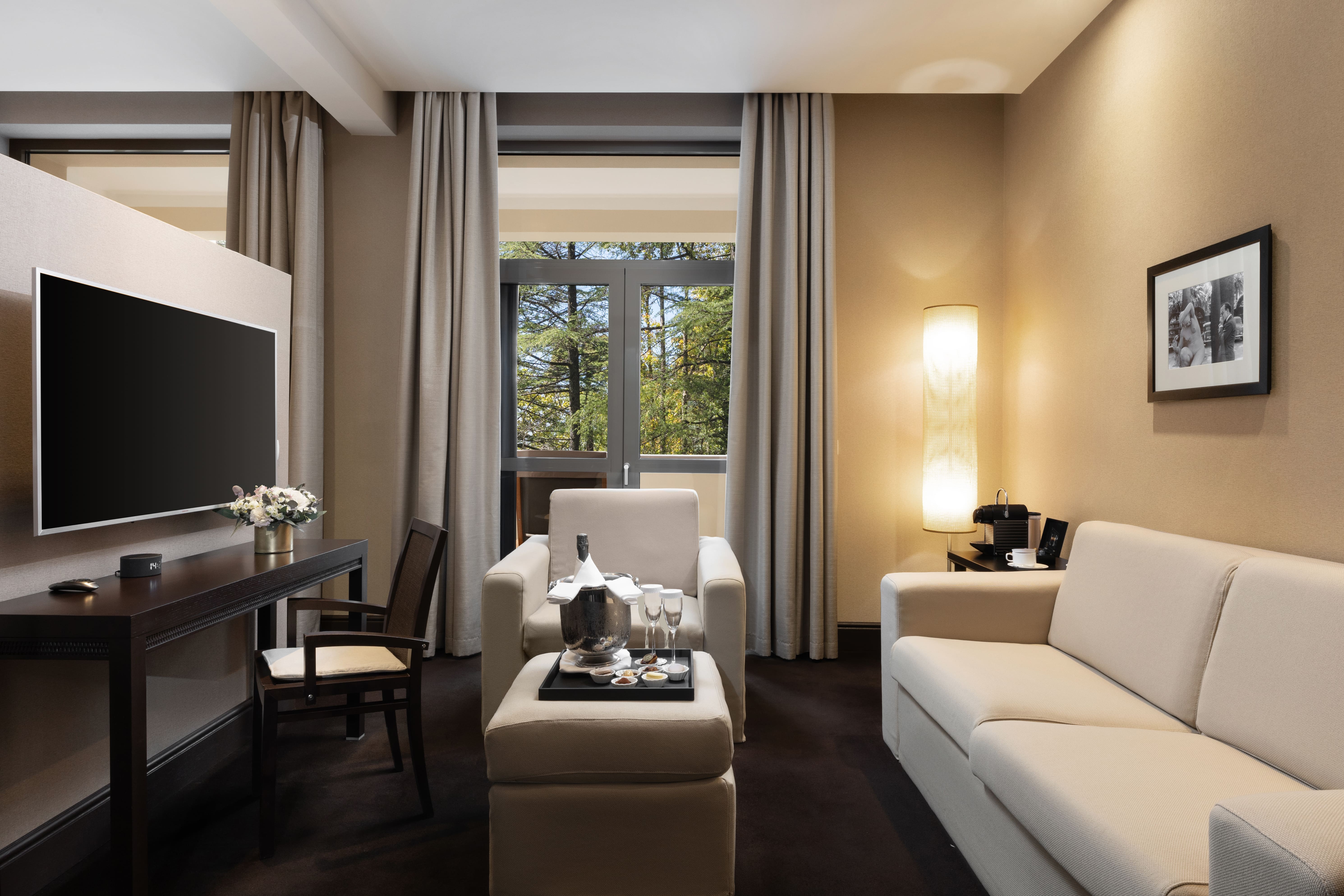 Делюкс с видом на парк