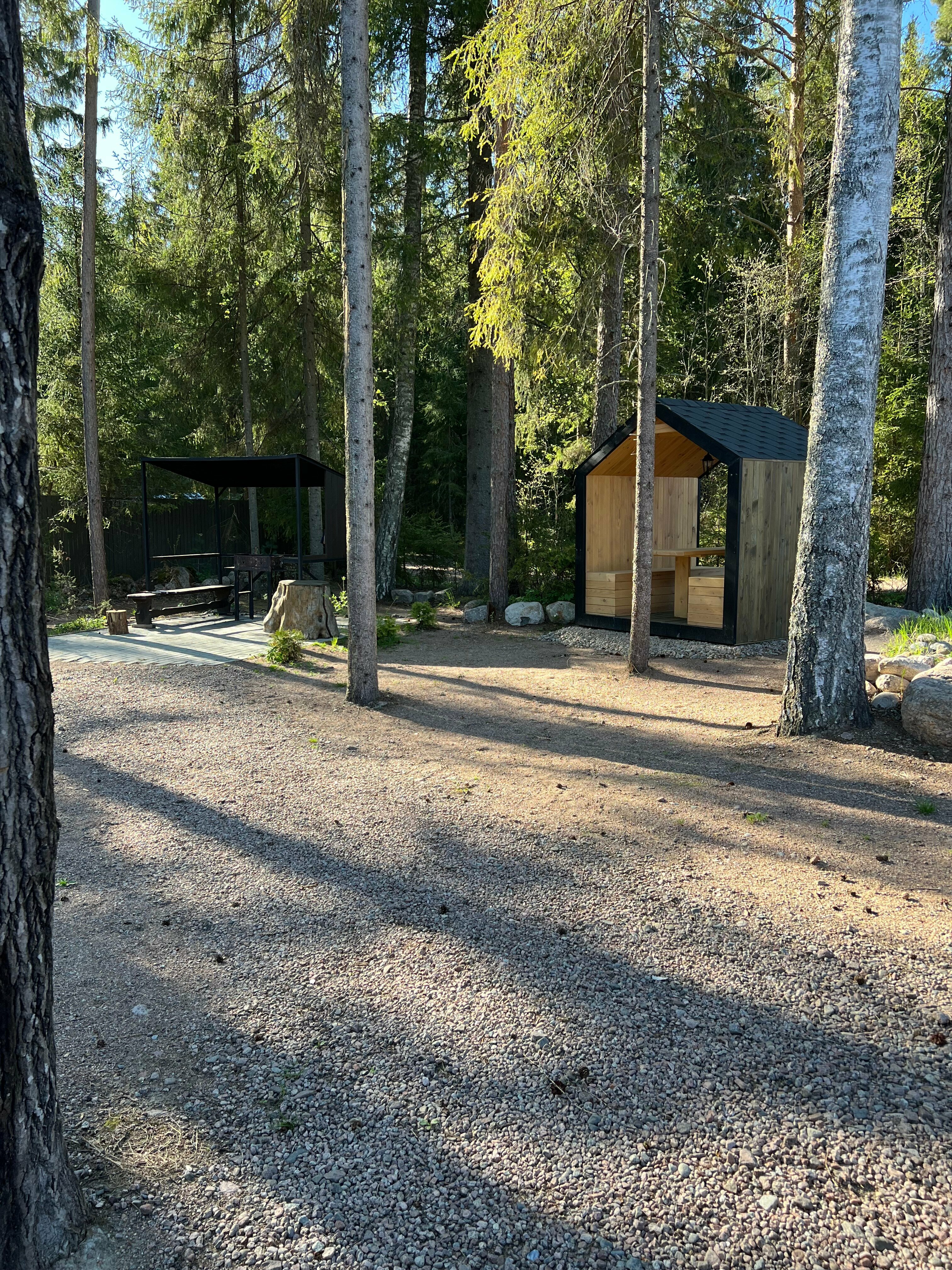 Дом с видом на лес