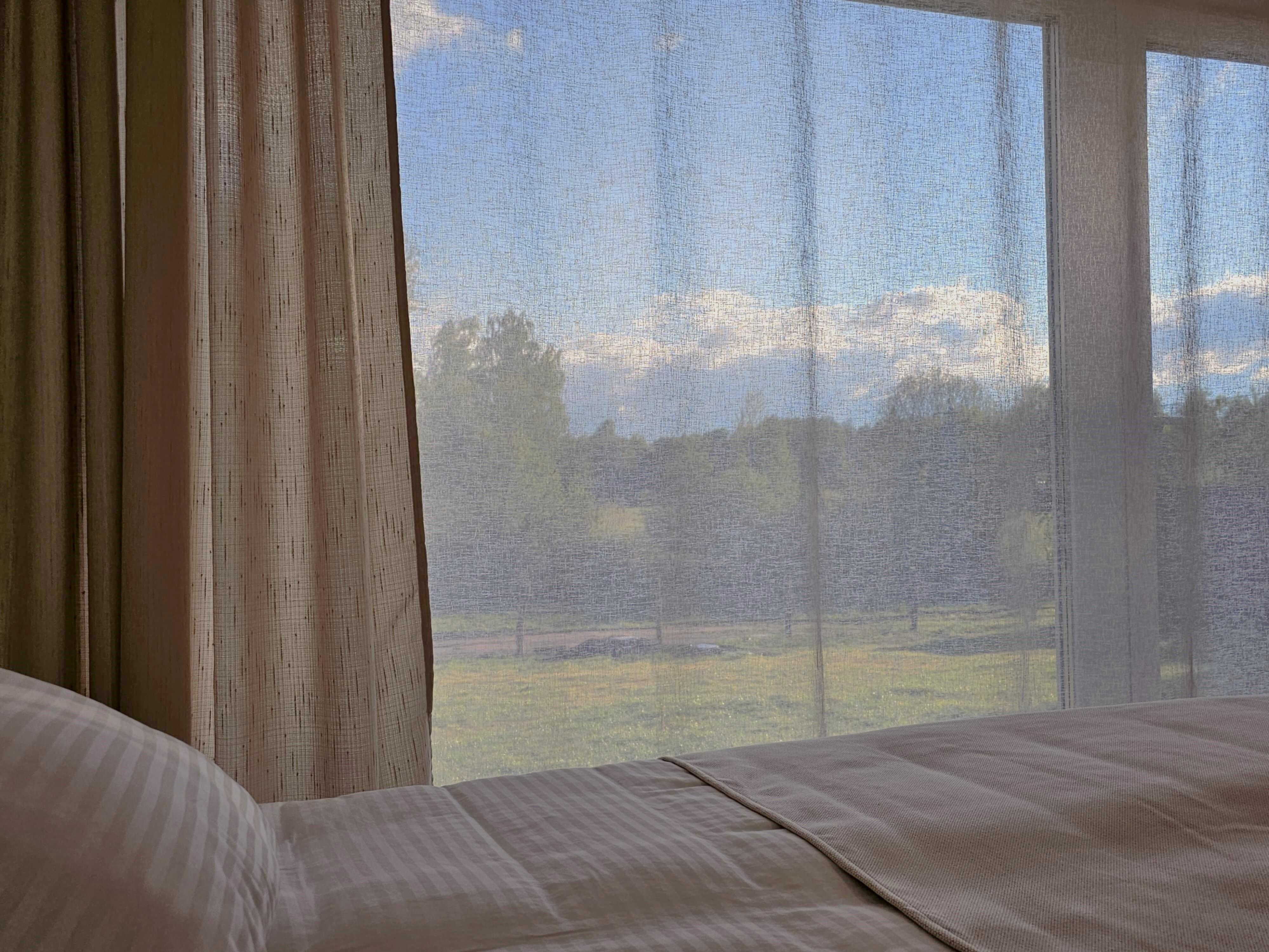 Дом с видом на лес