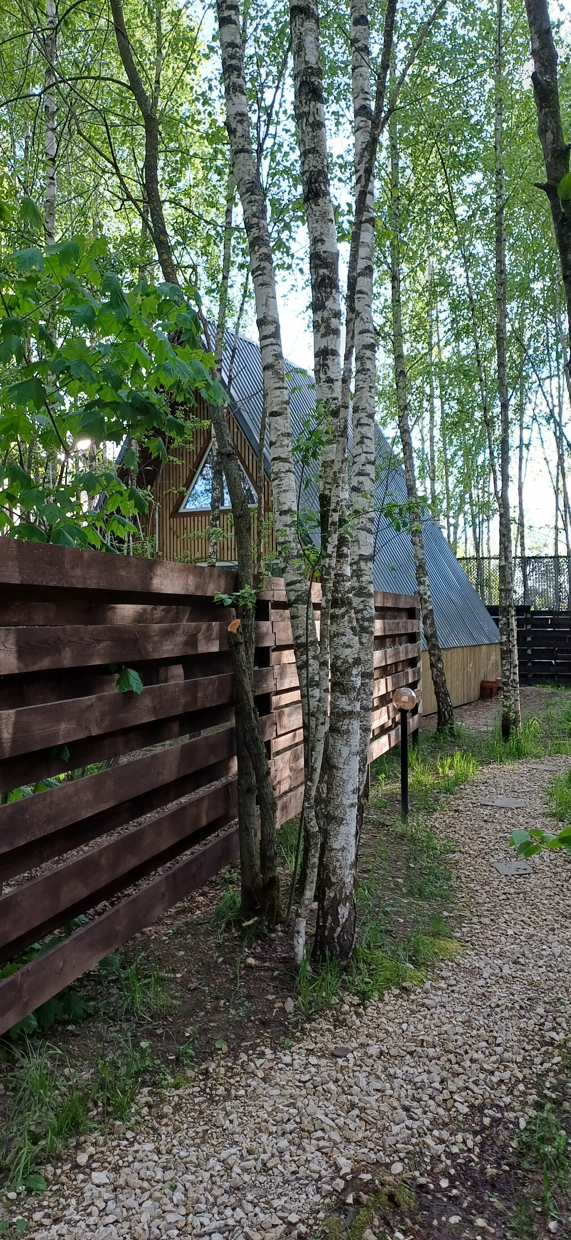 Дом с видом на лес