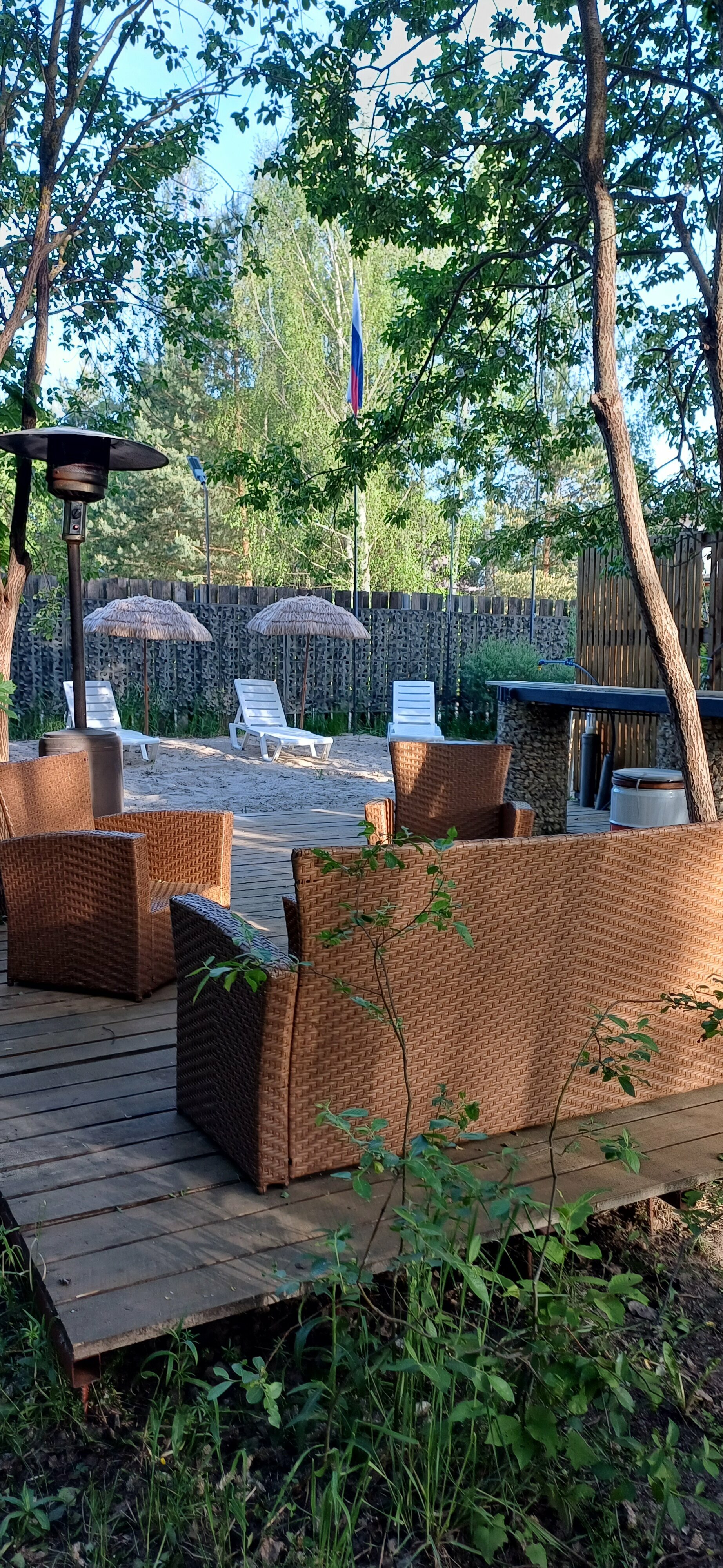 Дом с видом на лес