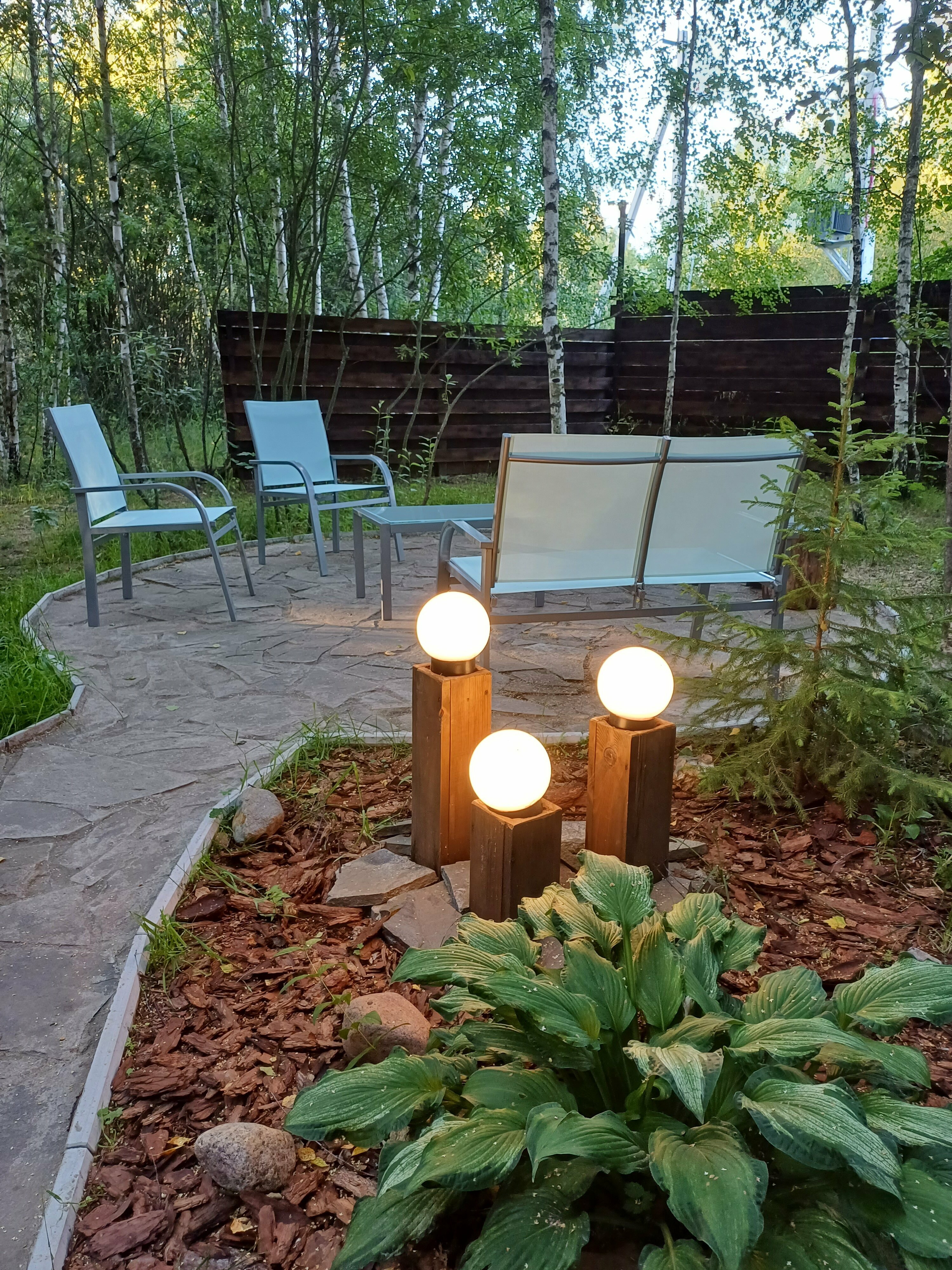 Дом с видом на лес