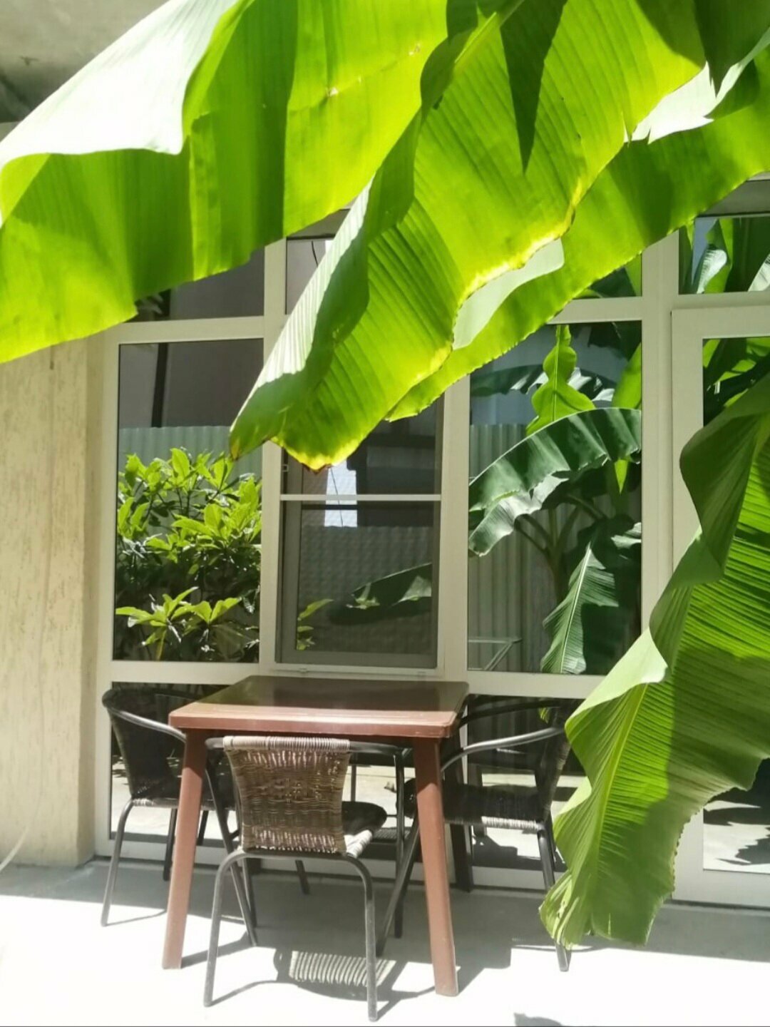 Номер-студия с видом на сад