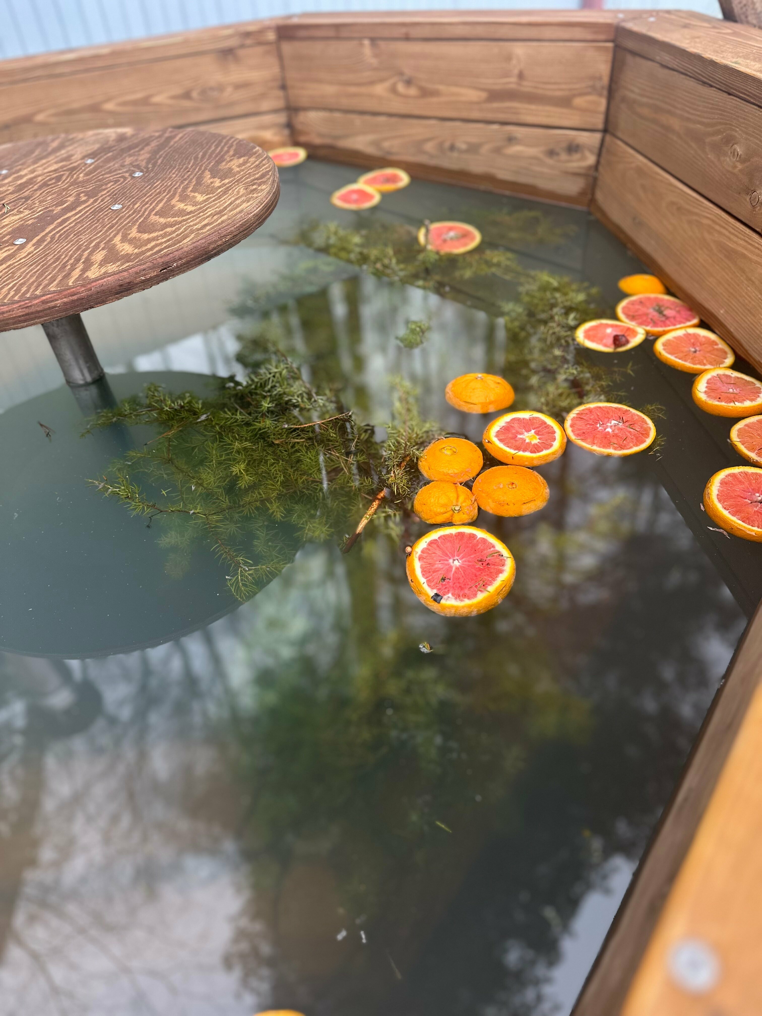 Дом с видом на лес