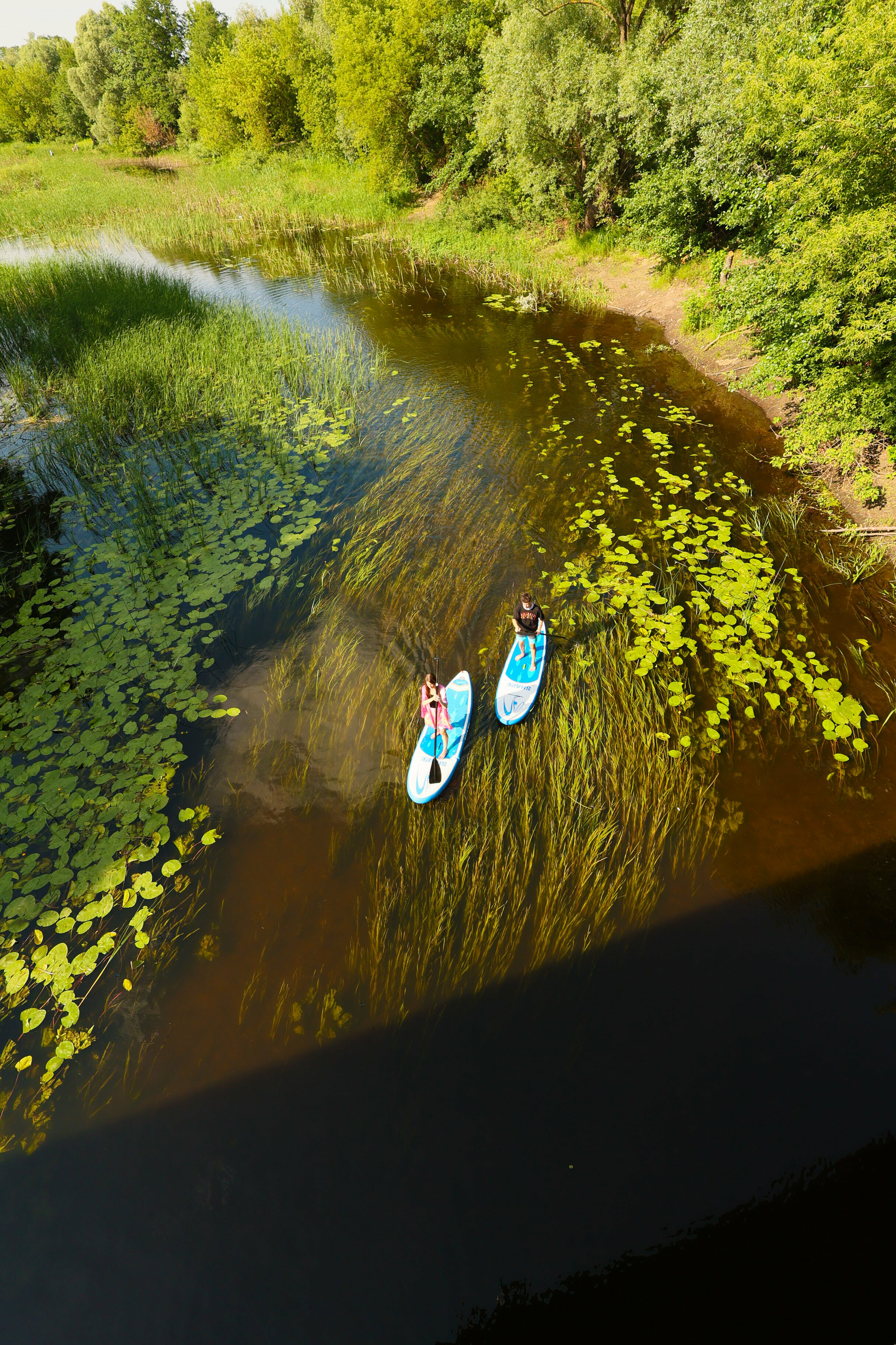 Дом в лесу с баней и холодной купелью
