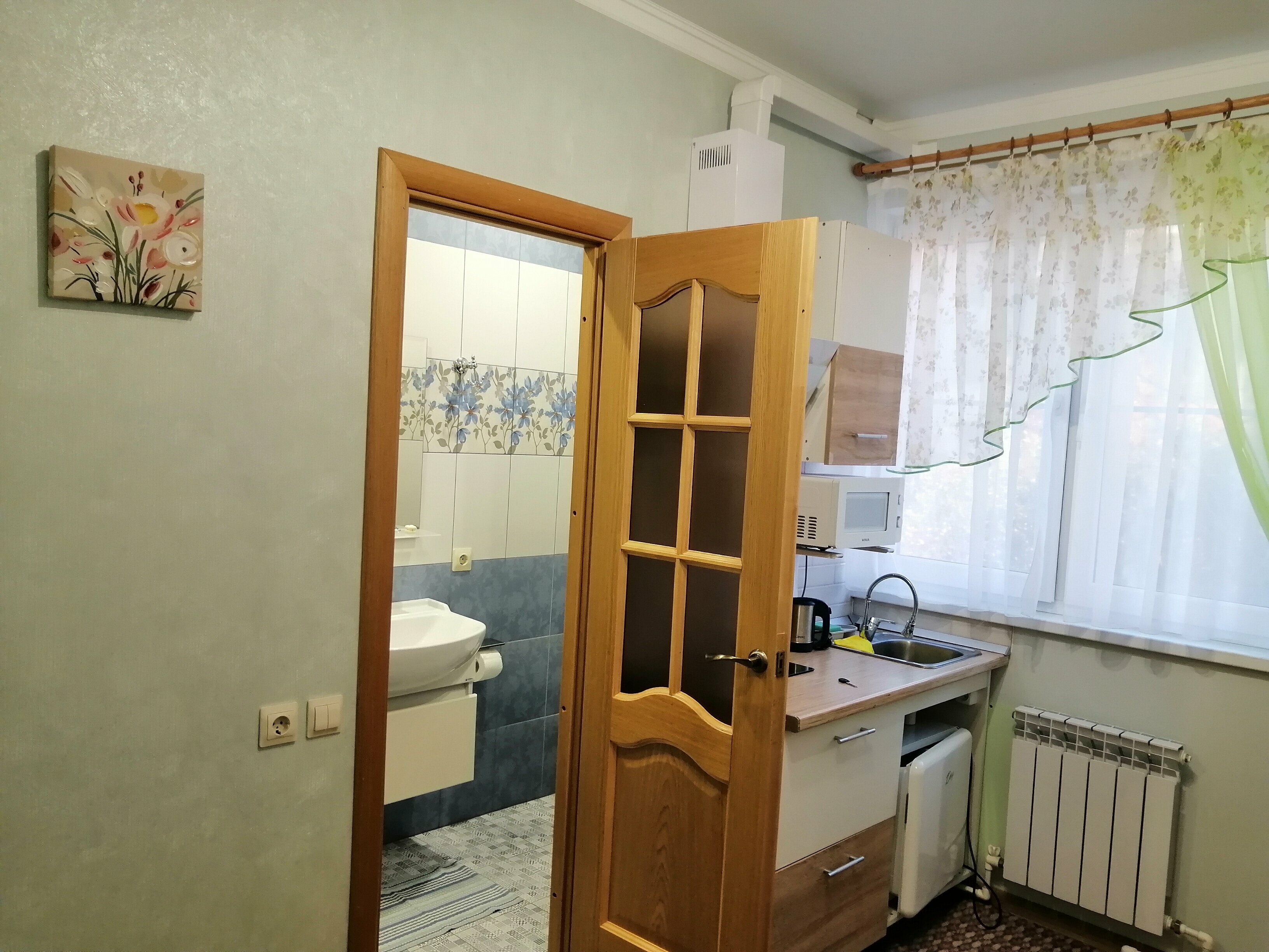 Студия с видом на сад 1+1