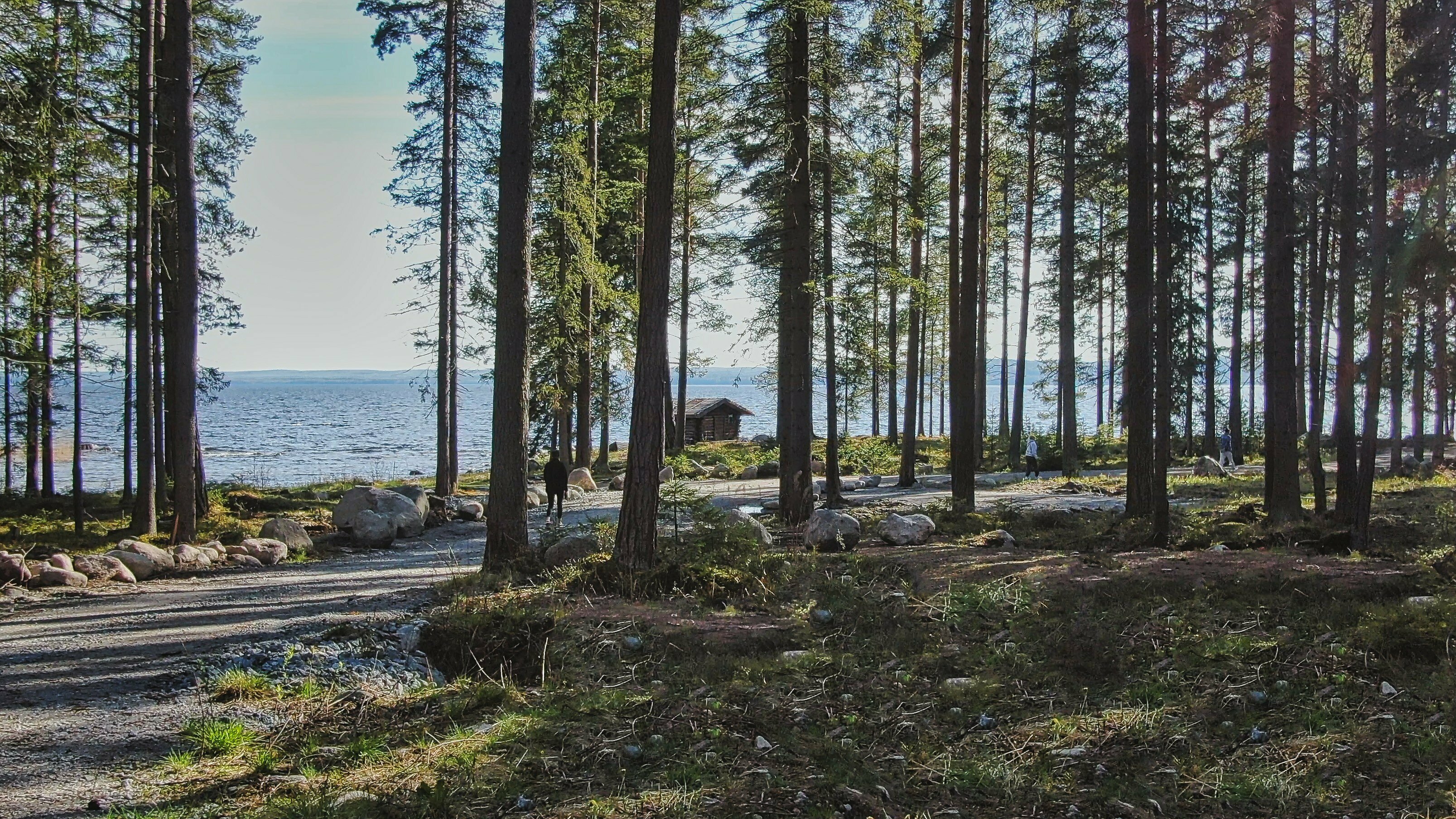 Трехместный номер с видом на озеро