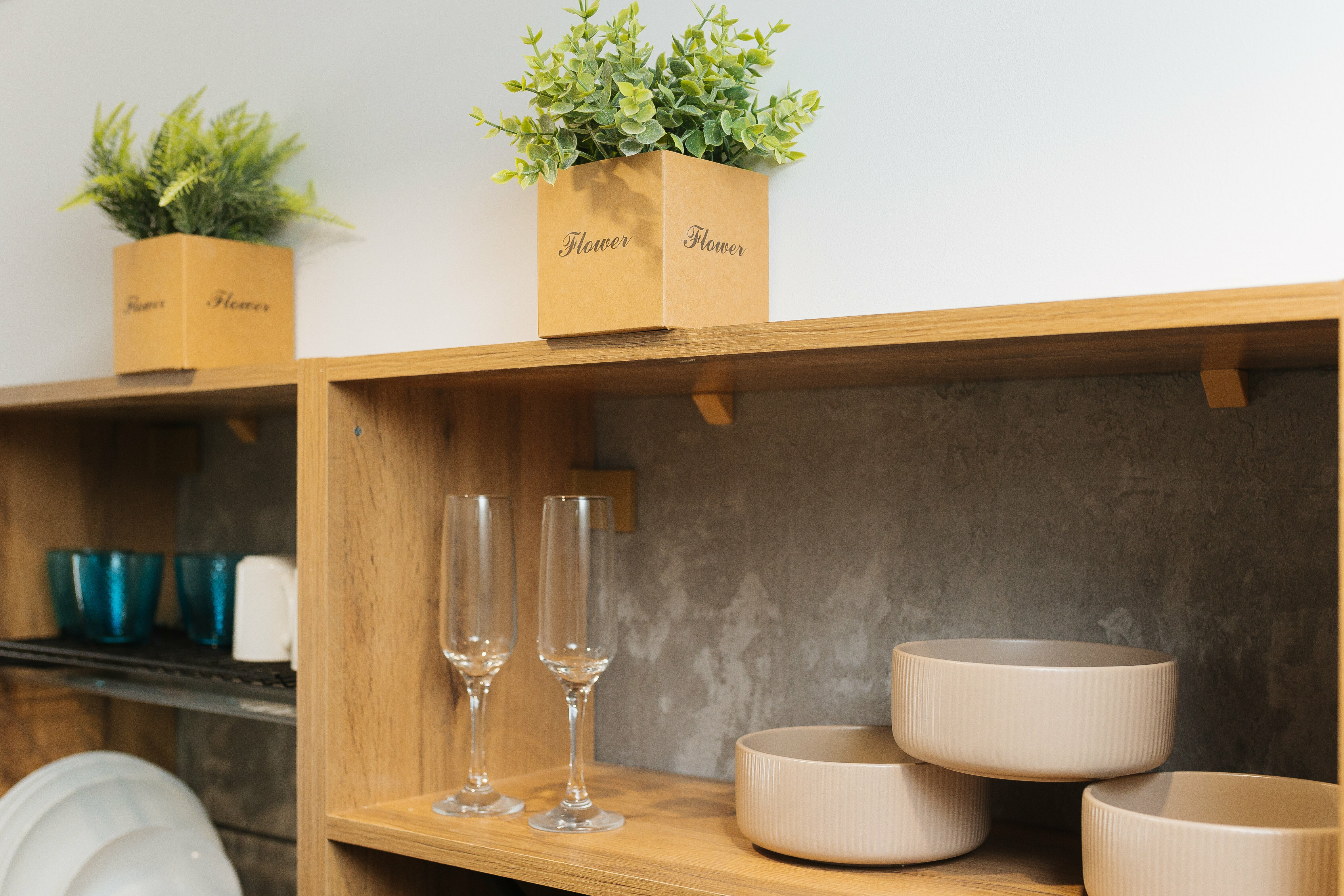 Одноместный номер, улучшенный (стандарт плюс)